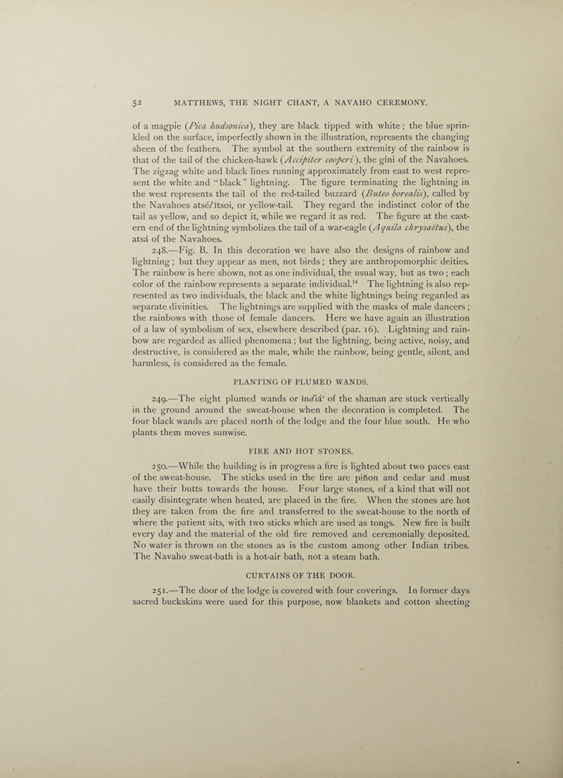 of a magpie (Pica hudsonica), they are black tipped with white ; the blue sprin¬ kled on the surface, imperfectly shown in the illustration, represents the changing sheen of the feathers. The symbol at the southern extremity of the rainbow is that of the tail of the chicken-hawk (Accipiter cooperi), the gini of the Navahoes. The zigzag white and black lines running approximately from east to west repre¬ sent the white and “black” lightning. The figure terminating the lightning in the west represents the tail of the red-tailed buzzard (Buteo borealis), called by the Navahoes atse/itsoi, or yellow-tail. They regard the indistinct color of the tail as yellow, and so depict it, while we regard it as red. The figure at the east¬ ern end of the lightning symbolizes the tail of a war-eagle (.Aquila chrysaetus)y the atsa of the Navahoes. 248. —Fig. B. In this decoration we have also the designs of rainbow and lightning ; but they appear as men, not birds ; they are anthropomorphic deities. The rainbow is here shown, not as one individual, the usual way, but as two ; each color of the rainbow represents a separate individual.14 The lightning is also rep¬ resented as two individuals, the black and the white lightnings being regarded as separate divinities. The lightnings are supplied with the masks of male dancers ; the rainbows with those of female dancers. Here we have again an illustration of a law of symbolism of sex, elsewhere described (par. 16). Lightning and rain¬ bow are regarded as allied phenomena; but the lightning, being active, noisy, and destructive, is considered as the male, while the rainbow, being gentle, silent, and harmless, is considered as the female. PLANTING OF PLUMED WANDS. 249. —The eight plumed wands or mufia‘ of the shaman are stuck vertically in the ground around the sweat-house when the decoration is completed. The four black wands are placed north of the lodge and the four blue south. He who plants them moves sunwise. FIRE AND HOT STONES. 250. —While the building is in progress a fire is lighted about two paces east of the sweat-house. The sticks used in the fire are pinon and cedar and must have their butts towards the house. Four large stones, of a kind that will not easily disintegrate when heated, are placed in the fire. When the stones are hot they are taken from the fire and transferred to the sweat-house to the north of where the patient sits, with two sticks which are used as tongs. New fire is built every day and the material of the old fire removed and ceremonially deposited. No water is thrown on the stones as is the custom among other Indian tribes. The Navaho sweat-bath is a hot-air bath, not a steam bath. CURTAINS OF THE DOOR. 251. —The door of the lodge is covered with four coverings. In former days sacred buckskins were used for this purpose, now blankets and cotton sheeting