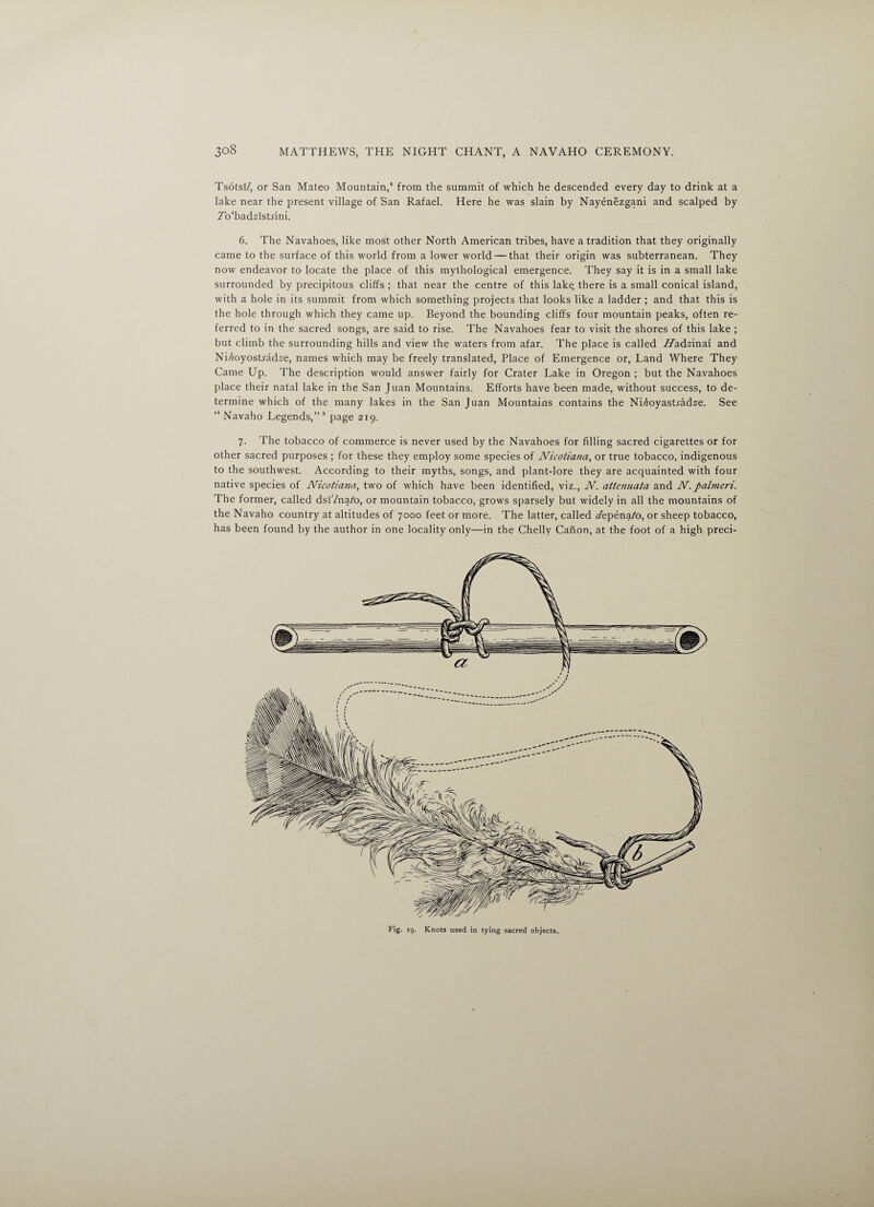 TsotsI/, or San Mateo Mountain,4 from the summit of which he descended every day to drink at a lake near the present village of San Rafael. Here he was slain by Nayenezgani and scalped by Tb'badaistrini. 6. The Navahoes, like most other North American tribes, have a tradition that they originally came to the surface of this world from a lower world — that their origin was subterranean. They now endeavor to locate the place of this mythological emergence. They say it is in a small lake surrounded by precipitous cliffs ; that near the centre of this lake, there is a small conical island, with a hole in its summit from which something projects that looks like a ladder ; and that this is the hole through which they came up. Beyond the bounding cliffs four mountain peaks, often re¬ ferred to in the sacred songs, are said to rise. The Navahoes fear to visit the shores of this lake ; but climb the surrounding hills and view the waters from afar. The place is called Afadainai and Ni/myosLadse, names which may be freely translated, Place of Emergence or, Land Where They Came Up. The description would answer fairly for Crater Lake in Oregon ; but the Navahoes place their natal lake in the San Juan Mountains. Efforts have been made, without success, to de¬ termine which of the many lakes in the San Juan Mountains contains the Ni/myastradae. See “Navaho Legends,”3 page 219. 7. The tobacco of commerce is never used by the Navahoes for filling sacred cigarettes or for other sacred purposes ; for these they employ some species of Nicotiana, or true tobacco, indigenous to the southwest. According to their myths, songs, and plant-lore they are acquainted with four native species of Nicotiana, two of which have been identified, viz., N. attenuata and N. palmeri. The former, called dsi'/na/'o, or mountain tobacco, grows sparsely but widely in all the mountains of the Navaho country at altitudes of 7000 feet or more. The latter, called Aepenafo, or sheep tobacco, has been found by the author in one locality only—in the Chelly Canon, at the foot of a high preci- Fig. 19. Knots used in tying sacred objects.