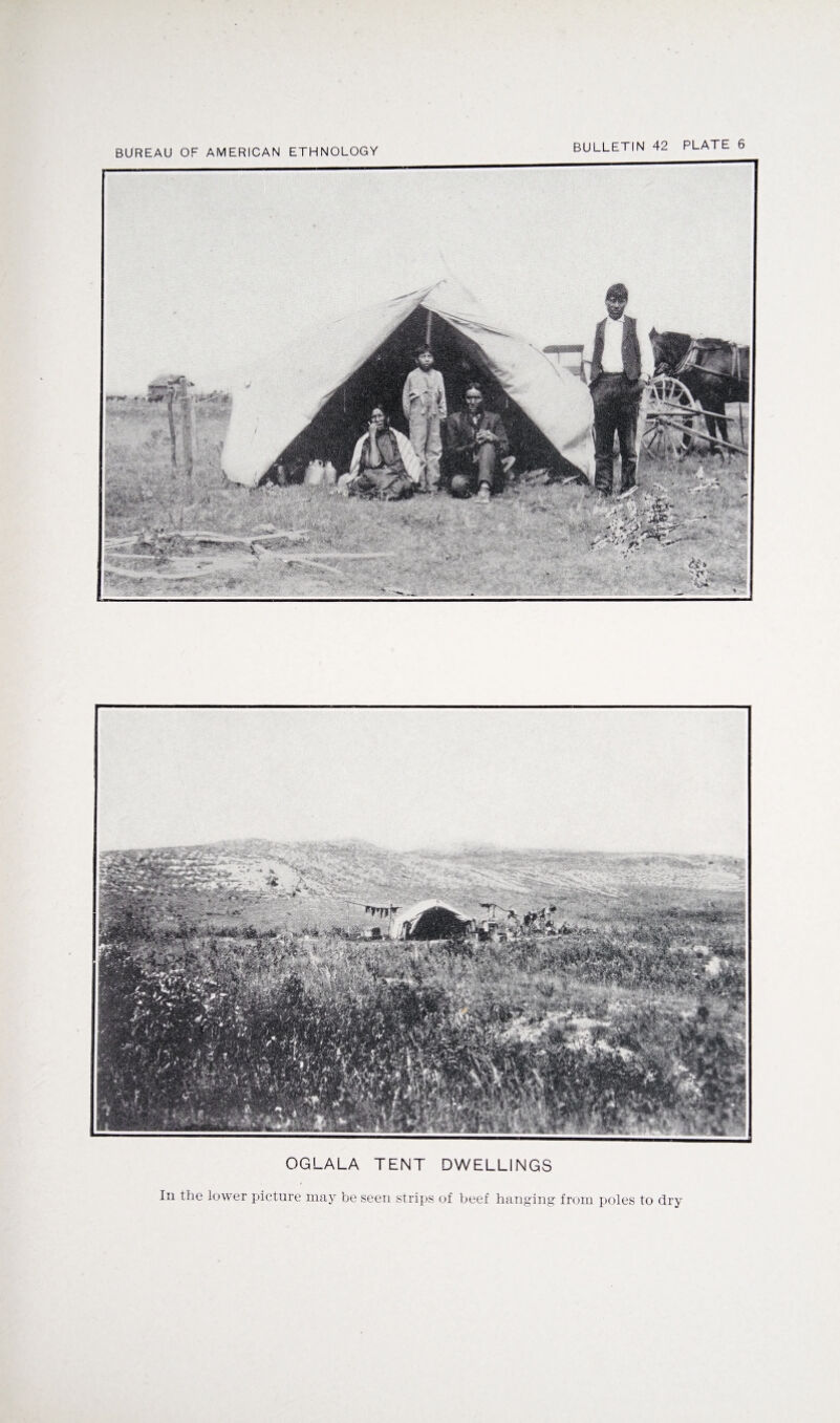 OGLALA TENT DWELLINGS In the lower picture may be seen strips of beef hanging from poles to dry