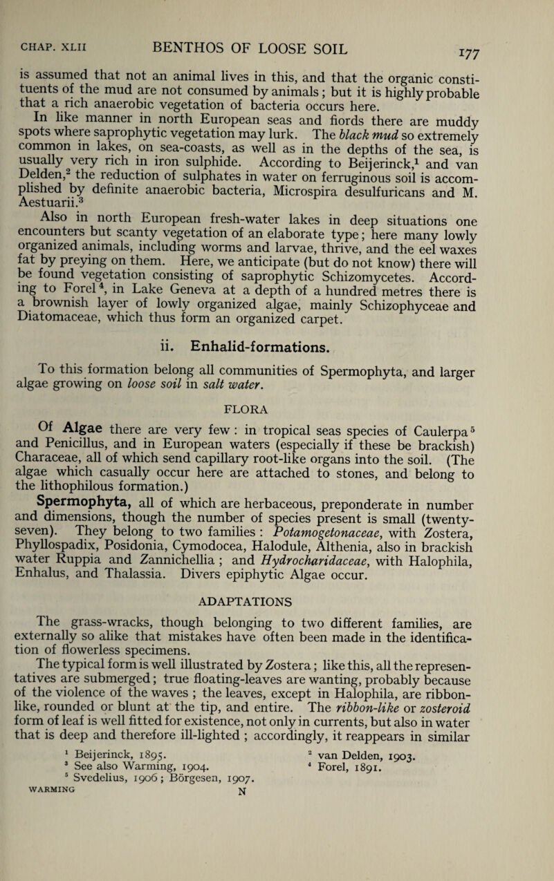 is assumed that not an animal lives in this, and that the organic consti¬ tuents of the mud are not consumed by animals; but it is highly probable that a rich anaerobic vegetation of bacteria occurs here. In like manner in north European seas and fiords there are muddy spots where saprophytic vegetation may lurk. The black mud so extremely common in lakes, on sea-coasts, as well as in the depths of the sea, is usually ^very rich in iron sulphide. According to Beijerinck,1 and van Delden,- the reduction of sulphates in water on ferruginous soil is accom¬ plished by definite anaerobic bacteria, Microspira desulfuricans and M. Aestuarii.3 Also in north European fresh-water lakes in deep situations one encounters but scanty vegetation of an elaborate type; here many lowly organized animals, including worms and larvae, thrive, and the eel waxes fat by preying on them. Here, we anticipate (but do not know) there will be found vegetation consisting of saprophytic Schizomycetes. Accord- ing to Forel4, in Lake Geneva at a depth of a hundred metres there is a brownish layer of lowly organized algae, mainly Schizophyceae and Diatomaceae, which thus form an organized carpet. ii. Enhalid-formations. To this formation belong all communities of Spermophyta, and larger algae growing on loose soil in salt water. FLORA Of Algae there are very few: in tropical seas species of Caulerpa5 and Penicillus, and in European waters (especially if these be brackish) Characeae, all of which send capillary root-like organs into the soil. (The algae which casually occur here are attached to stones, and belong to the lithophilous formation.) Spermophyta, all of which are herbaceous, preponderate in number and dimensions, though the number of species present is small (twenty- seven). They belong to two families : Potamogetonaceae, with Zostera, Phyllospadix, Posidonia, Cymodocea, Halodule, Althenia, also in brackish water Ruppia and Zannichellia ; and Hydrocharidaceae, with Halophila, Enhalus, and Thalassia. Divers epiphytic Algae occur. ADAPTATIONS The grass-wracks, though belonging to two different families, are externally so alike that mistakes have often been made in the identifica¬ tion of flowerless specimens. The typical form is well illustrated by Zostera; like this, all the represen¬ tatives are submerged; true floating-leaves are wanting, probably because of the violence of the waves ; the leaves, except in Halophila, are ribbon¬ like, rounded or blunt at the tip, and entire. The ribbon-like or zosteroid form of leaf is well fitted for existence, not only in currents, but also in water that is deep and therefore ill-lighted ; accordingly, it reappears in similar 1 Beijerinck, 1895. 2 van Delden, 1903. 3 See also Warming, 1904. 4 Forel, 1891. 5 Svedelius, 1906; Borgesen, 1907. warming n