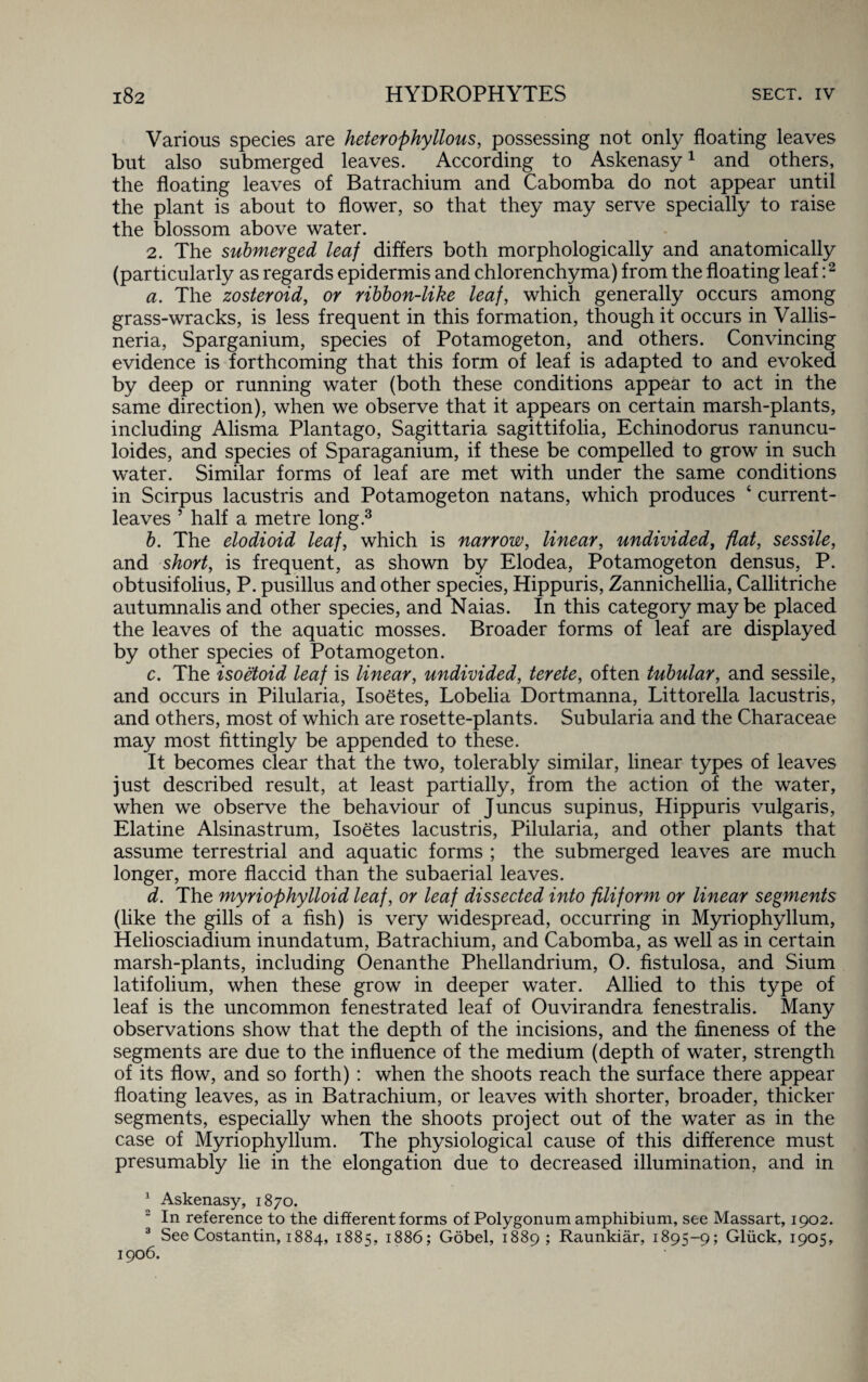 Various species are heterophyllous, possessing not only floating leaves but also submerged leaves. According to Askenasy1 and others, the floating leaves of Batrachium and Cabomba do not appear until the plant is about to flower, so that they may serve specially to raise the blossom above water. 2. The submerged leaf differs both morphologically and anatomically (particularly as regards epidermis and chlorenchyma) from the floating leaf:2 a. The zosteroid, or ribbon-like leaf, which generally occurs among grass-wracks, is less frequent in this formation, though it occurs in Vallis- neria, Sparganium, species of Potamogeton, and others. Convincing evidence is forthcoming that this form of leaf is adapted to and evoked by deep or running water (both these conditions appear to act in the same direction), when we observe that it appears on certain marsh-plants, including Alisma Plant ago, Sagittaria sagittifolia, Echinodorus ranuncu- loides, and species of Sparaganium, if these be compelled to grow in such water. Similar forms of leaf are met with under the same conditions in Scirpus lacustris and Potamogeton natans, which produces 4 current- leaves 5 half a metre long.3 b. The elodioid leaf, which is narrow, linear, undivided, flat, sessile, and short, is frequent, as shown by Elodea, Potamogeton densus, P. obtusifolius, P. pusillus and other species, Hippuris, Zannichellia, Callitriche autumnalis and other species, and Naias. In this category may be placed the leaves of the aquatic mosses. Broader forms of leaf are displayed by other species of Potamogeton. c. The isoetoid leaf is linear, undivided, terete, often tubular, and sessile, and occurs in Pilularia, Isoetes, Lobelia Dortmanna, Littorella lacustris, and others, most of which are rosette-plants. Subularia and the Characeae may most fittingly be appended to these. It becomes clear that the two, tolerably similar, linear types of leaves just described result, at least partially, from the action of the water, when we observe the behaviour of Juncus supinus, Hippuris vulgaris, Elatine Alsinastrum, Isoetes lacustris, Pilularia, and other plants that assume terrestrial and aquatic forms ; the submerged leaves are much longer, more flaccid than the subaerial leaves. d. The myriophylloid leaf, or leaf dissected into filiform or linear segments (like the gills of a fish) is very widespread, occurring in Myriophyllum, Heliosciadium inundatum, Batrachium, and Cabomba, as well as in certain marsh-plants, including Oenanthe Phellandrium, O. fistulosa, and Sium latifolium, when these grow in deeper water. Allied to this type of leaf is the uncommon fenestrated leaf of Ouvirandra fenestralis. Many observations show that the depth of the incisions, and the fineness of the segments are due to the influence of the medium (depth of water, strength of its flow, and so forth) : when the shoots reach the surface there appear floating leaves, as in Batrachium, or leaves with shorter, broader, thicker segments, especially when the shoots project out of the water as in the case of Myriophyllum. The physiological cause of this difference must presumably lie in the elongation due to decreased illumination, and in 1 Askenasy, 1870. 2 In reference to the different forms of Polygonum amphibium, see Massart, 1902. 3 See Costantin, 1884, 1885, 1886; Gobel, 1889; Raunkiar, 1895-9; Gliick, 1905, 1906.