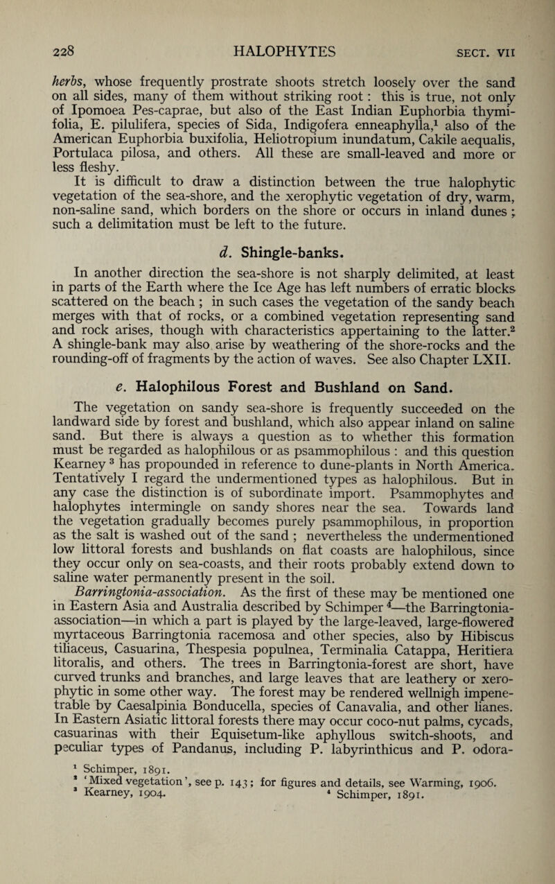 herbs, whose frequently prostrate shoots stretch loosely over the sand on all sides, many of them without striking root: this is true, not only of Ipomoea Pes-caprae, but also of the East Indian Euphorbia thymi- folia, E. pilulifera, species of Sida, Indigofera enneaphylla,1 also of the American Euphorbia buxifolia, Heliotropium inundatum, Cakile aequalis, Portulaca pilosa, and others. All these are small-leaved and more or less fleshy. It is difficult to draw a distinction between the true halophytic vegetation of the sea-shore, and the xerophytic vegetation of dry, warm, non-saline sand, which borders on the shore or occurs in inland dunes ; such a delimitation must be left to the future. d. Shingle-banks. In another direction the sea-shore is not sharply delimited, at least in parts of the Earth where the Ice Age has left numbers of erratic blocks scattered on the beach ; in such cases the vegetation of the sandy beach merges with that of rocks, or a combined vegetation representing sand and rock arises, though with characteristics appertaining to the latter.2 A shingle-bank may also, arise by weathering of the shore-rocks and the rounding-off of fragments by the action of waves. See also Chapter LXII. e. Halophilous Forest and Bushland on Sand. The vegetation on sandy sea-shore is frequently succeeded on the landward side by forest and bushland, which also appear inland on saline sand. But there is always a question as to whether this formation must be regarded as halophilous or as psammophilous : and this question Kearney 3 has propounded in reference to dune-plants in North America. Tentatively I regard the undermentioned types as halophilous. But in any case the distinction is of subordinate import. Psammophytes and halophytes intermingle on sandy shores near the sea. Towards land the vegetation gradually becomes purely psammophilous, in proportion as the salt is washed out of the sand ; nevertheless the undermentioned low littoral forests and bushlands on flat coasts are halophilous, since they occur only on sea-coasts, and their roots probably extend down to saline water permanently present in the soil. Barringtonia-association. As the first of these may be mentioned one in Eastern Asia and Australia described by Schimper4—the Barringtonia- association—in which a part is played by the large-leaved, large-flowered myrtaceous Barringtonia racemosa and other species, also by Hibiscus tiliaceus, Casuarina, Thespesia populnea, Terminalia Catappa, Heritiera litoralis, and others. The trees in Barringtonia-forest are short, have curved trunks and branches, and large leaves that are leathery or xero¬ phytic in some other way. The forest may be rendered wellnigh impene¬ trable by Caesalpinia Bonducella, species of Canavalia, and other lianes. In Eastern Asiatic littoral forests there may occur coco-nut palms, cycads, casuarinas with their Equisetum-like aphyllous switch-shoots, and peculiar types of Pandanus, including P. labyrinthicus and P. odora- 1 Schimper, 1891. s ‘Mixed vegetation’, seep. 143; for figures and details, see Warming, 1906. 3 Kearney, 1904. 4 Schimper, 1891.