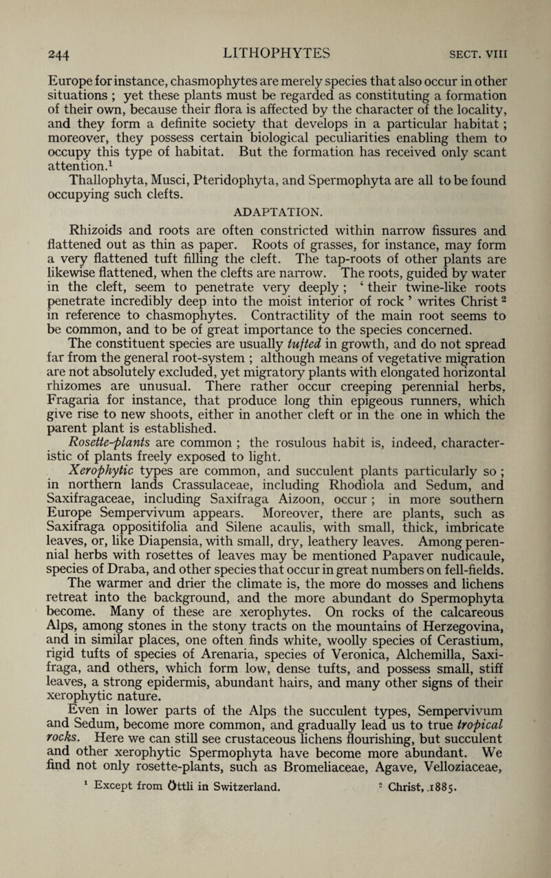 Europe for instance, chasmophytes are merely species that also occur in other situations ; yet these plants must be regarded as constituting a formation of their own, because their flora is affected by the character of the locality, and they form a definite society that develops in a particular habitat; moreover, they possess certain biological peculiarities enabling them to occupy this type of habitat. But the formation has received only scant attention.1 Thallophyta, Musci, Pteridophyta, and Spermophyta are all to be found occupying such clefts. ADAPTATION. Rhizoids and roots are often constricted within narrow fissures and flattened out as thin as paper. Roots of grasses, for instance, may form a very flattened tuft filling the cleft. The tap-roots of other plants are likewise flattened, when the clefts are narrow. The roots, guided by water in the cleft, seem to penetrate very deeply ; 4 their twine-like roots penetrate incredibly deep into the moist interior of rock ’ writes Christ2 in reference to chasmophytes. Contractility of the main root seems to be common, and to be of great importance to the species concerned. The constituent species are usually tufted in growth, and do not spread far from the general root-system ; although means of vegetative migration are not absolutely excluded, yet migratory plants with elongated horizontal rhizomes are unusual. There rather occur creeping perennial herbs, Fragaria for instance, that produce long thin epigeous runners, which give rise to new shoots, either in another cleft or in the one in which the parent plant is established. Rosette-plants are common ; the rosulous habit is, indeed, character¬ istic of plants freely exposed to light. Xerophytic types are common, and succulent plants particularly so ; in northern lands Crassulaceae, including Rhodiola and Sedum, and Saxifragaceae, including Saxifraga Aizoon, occur; in more southern Europe Sempervivum appears. Moreover, there are plants, such as Saxifraga oppositifolia and Silene acaulis, with small, thick, imbricate leaves, or, like Diapensia, with small, dry, leathery leaves. Among peren¬ nial herbs with rosettes of leaves may be mentioned Papaver nudicaule, species of Draba, and other species that occur in great numbers on fell-fields. The warmer and drier the climate is, the more do mosses and lichens retreat into the background, and the more abundant do Spermophyta become. Many of these are xerophytes. On rocks of the calcareous Alps, among stones in the stony tracts on the mountains of Herzegovina, and in similar places, one often finds white, woolly species of Cerastium, rigid tufts of species of Arenaria, species of Veronica, Alchemilla, Saxi¬ fraga, and others, which form low, dense tufts, and possess small, stiff leaves, a strong epidermis, abundant hairs, and many other signs of their xerophytic nature. Even in lower parts of the Alps the succulent types, Sempervivum and Sedum, become more common, and gradually lead us to true tropical rocks. Here we can still see crustaceous lichens flourishing, but succulent and other xerophytic Spermophyta have become more abundant. We find not only rosette-plants, such as Bromeliaceae, Agave, Velloziaceae, 1 Except from Ottli in Switzerland. 2 Christ, .1885.
