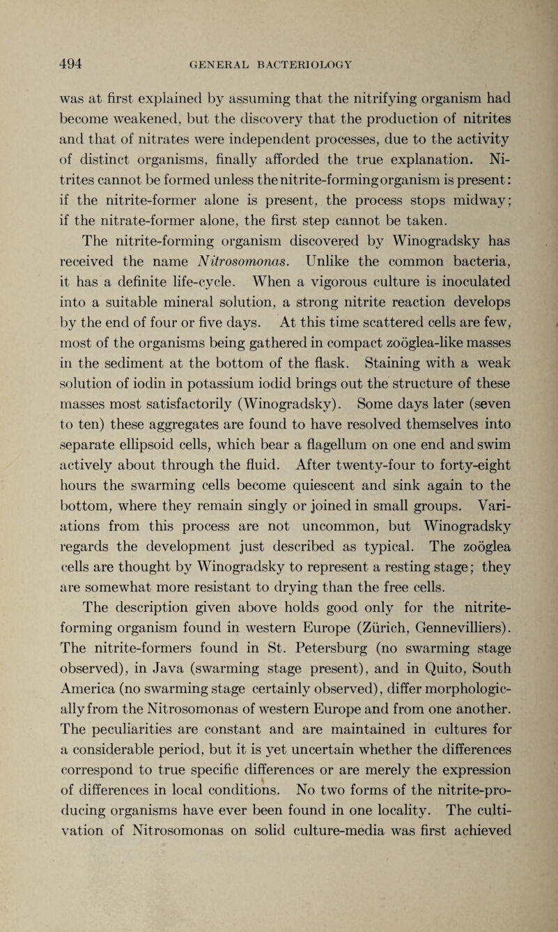 was at first explained by assuming that the nitrifying organism had become weakened, but the discovery that the production of nitrites and that of nitrates were independent processes, due to the activity of distinct organisms, finally afforded the true explanation. Ni¬ trites cannot be formed unless the nitrite-forming organism is present: if the nitrite-former alone is present, the process stops midway; if the nitrate-former alone, the first step cannot be taken. The nitrite-forming organism discovered by Winogradsky has received the name Nitrosomonas. Unlike the common bacteria, it has a definite life-cycle. When a vigorous culture is inoculated into a suitable mineral solution, a strong nitrite reaction develops by the end of four or five days. At this time scattered cells are few, most of the organisms being gathered in compact zodglea-like masses in the sediment at the bottom of the flask. Staining with a weak solution of iodin in potassium iodid brings out the structure of these masses most satisfactorily (Winogradsky). Some days later (seven to ten) these aggregates are found to have resolved themselves into separate ellipsoid cells, which bear a flagellum on one end and swim actively about through the fluid. After twenty-four to forty-eight hours the swarming cells become quiescent and sink again to the bottom, where they remain singly or joined in small groups. Vari¬ ations from this process are not uncommon, but Winogradsky regards the development just described as typical. The zooglea cells are thought by Winogradsky to represent a resting stage; they are somewhat more resistant to drying than the free cells. The description given above holds good only for the nitrite¬ forming organism found in western Europe (Zurich, Gennevilliers). The nitrite-formers found in St. Petersburg (no swarming stage observed), in Java (swarming stage present), and in Quito, South America (no swarming stage certainly observed), differ morphologic¬ ally from the Nitrosomonas of western Europe and from one another. The peculiarities are constant and are maintained in cultures for a considerable period, but it is yet uncertain whether the differences correspond to true specific differences or are merely the expression of differences in local conditions. No two forms of the nitrite-pro¬ ducing organisms have ever been found in one locality. The culti¬ vation of Nitrosomonas on solid culture-media was first achieved