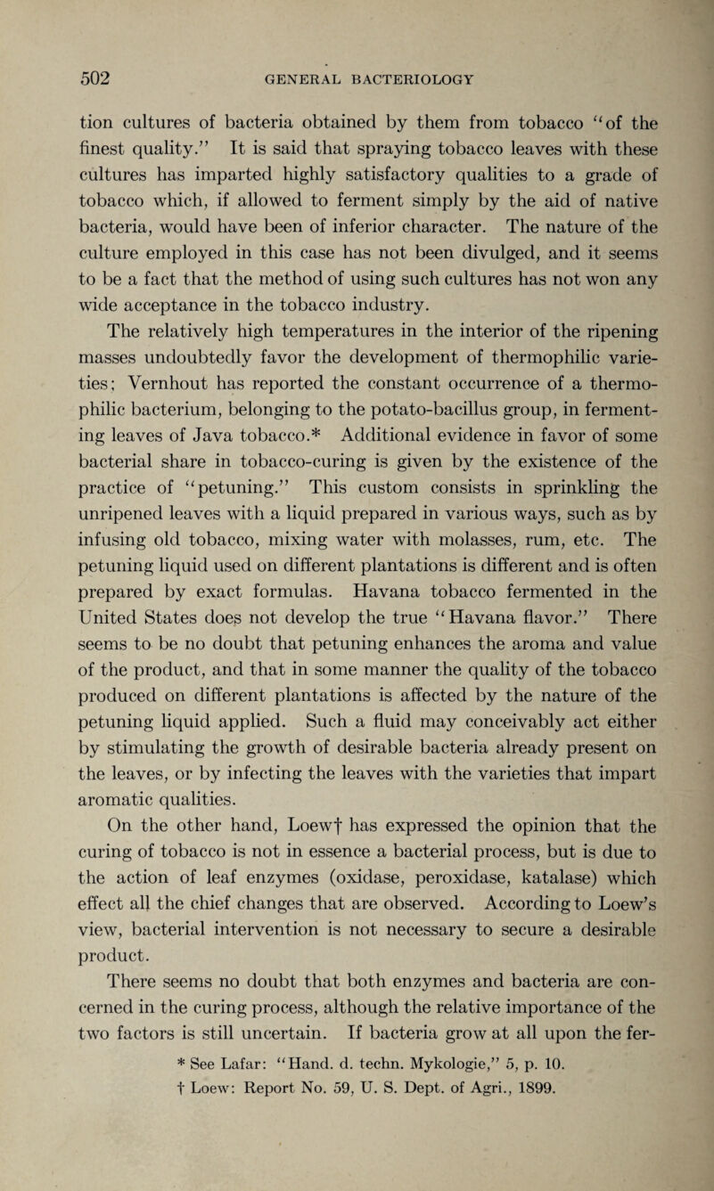 tion cultures of bacteria obtained by them from tobacco “of the finest quality.” It is said that spraying tobacco leaves with these cultures has imparted highly satisfactory qualities to a grade of tobacco which, if allowed to ferment simply by the aid of native bacteria, would have been of inferior character. The nature of the culture employed in this case has not been divulged, and it seems to be a fact that the method of using such cultures has not won any wide acceptance in the tobacco industry. The relatively high temperatures in the interior of the ripening masses undoubtedly favor the development of thermophilic varie¬ ties; Vernhout has reported the constant occurrence of a thermo¬ philic bacterium, belonging to the potato-bacillus group, in ferment¬ ing leaves of Java tobacco.* Additional evidence in favor of some bacterial share in tobacco-curing is given by the existence of the practice of “petuning.” This custom consists in sprinkling the unripened leaves with a liquid prepared in various ways, such as by infusing old tobacco, mixing water with molasses, rum, etc. The petuning liquid used on different plantations is different and is often prepared by exact formulas. Havana tobacco fermented in the United States does not develop the true “Havana flavor.” There seems to be no doubt that petuning enhances the aroma and value of the product, and that in some manner the quality of the tobacco produced on different plantations is affected by the nature of the petuning liquid applied. Such a fluid may conceivably act either by stimulating the growth of desirable bacteria already present on the leaves, or by infecting the leaves with the varieties that impart aromatic qualities. On the other hand, Loewf has expressed the opinion that the curing of tobacco is not in essence a bacterial process, but is due to the action of leaf enzymes (oxidase, peroxidase, katalase) which effect all the chief changes that are observed. According to Loew’s view, bacterial intervention is not necessary to secure a desirable product. There seems no doubt that both enzymes and bacteria are con¬ cerned in the curing process, although the relative importance of the two factors is still uncertain. If bacteria grow at all upon the fer- * See Lafar: “Hand. d. techn. Mykologie,” 5, p. 10. t Loew: Report No. 59, U. S. Dept, of Agri., 1899.