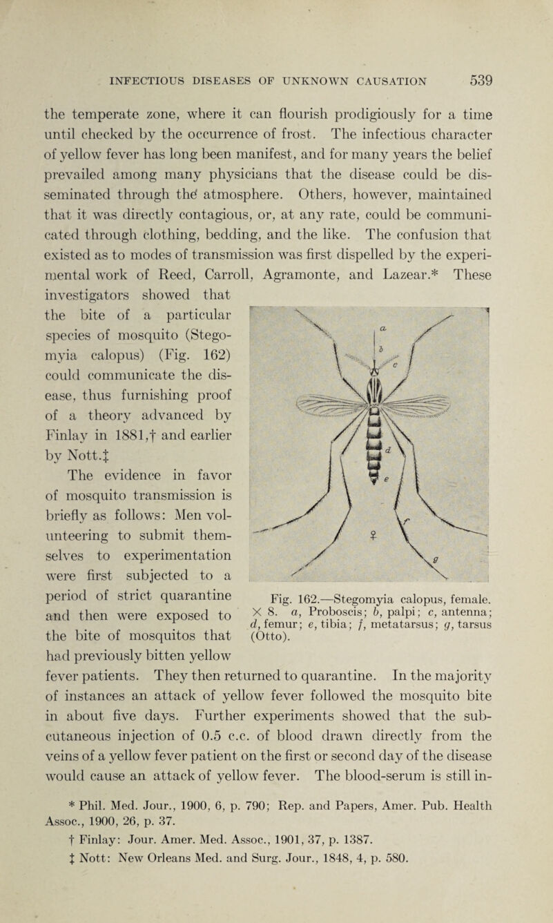 the temperate zone, where it can flourish prodigiously for a time until checked by the occurrence of frost. The infectious character of yellow fever has long been manifest, and for many years the belief prevailed among many physicians that the disease could be dis¬ seminated through thd atmosphere. Others, however, maintained that it was directly contagious, or, at any rate, could be communi¬ cated through clothing, bedding, and the like. The confusion that existed as to modes of transmission was first dispelled by the experi¬ mental work of Reed, Carroll, Agramonte, and Lazear.* These investigators showed that the bite of a particular species of mosquito (Stego- myia calopus) (Fig. 162) could communicate the dis¬ ease, thus furnishing proof of a theory advanced by Finlay in 1881,f and earlier by Nott.J The evidence in favor of mosquito transmission is briefly as follows: Men vol¬ unteering to submit them¬ selves to experimentation were first subjected to a period of strict quarantine and then were exposed to the bite of mosquitos that had previously bitten yellow fever patients. They then returned to quarantine. In the majority of instances an attack of yellow fever followed the mosquito bite in about five days. Further experiments showed that the sub¬ cutaneous injection of 0.5 c.c. of blood drawn directly from the veins of a yellow fever patient on the first or second day of the disease would cause an attack of yellow fever. The blood-serum is still in- * Phil. Med. Jour., 1900, 6, p. 790; Rep. and Papers, Amer. Pub. Health Assoc., 1900, 26, p. 37. t Finlay: Jour. Amer. Med. Assoc., 1901, 37, p. 1387. t Nott: New Orleans Med. and Surg. Jour., 1848, 4, p. 580. Fig. 162.—Stegomyia calopus, female. X 8. a, Proboscis; 6, palpi; c, antenna; d, femur; e, tibia; /, metatarsus; g, tarsus (Otto).