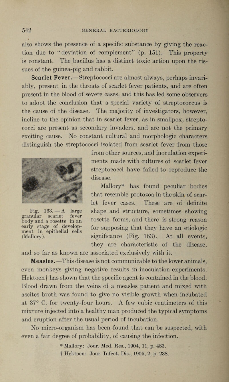 also shows the presence of a specific substance by giving the reac¬ tion due to “ deviation of complement” (p. 151). This property is constant. The bacillus has a distinct toxic action upon the tis¬ sues of the guinea-pig and rabbit. Scarlet Fever.—Streptococci are almost always, perhaps invari¬ ably, present in the throats of scarlet fever patients, and are often present in the blood of severe cases, and this has led some observers to adopt the conclusion that a special variety of streptococcus is the cause of the disease. The majority of investigators, however, incline to the opinion that in scarlet fever, as in smallpox, strepto¬ cocci are present as secondary invaders, and are not the primary exciting cause. No constant cultural and morphologic characters distinguish the streptococci isolated from scarlet fever from those from other sources, and inoculation experi¬ ments made with cultures of scarlet fever streptococci have failed to reproduce the disease. Mallory* has found peculiar bodies that resemble protozoa in the skin of scar¬ let fever cases. These are of definite shape and structure, sometimes showing rosette forms, and there is strong reason for supposing that they have an etiologic significance (Fig. 163). At all events, they are characteristic of the disease, and so far as known are associated exclusively with it. Measles.—This disease is not communicable to the lower animals, even monkeys giving negative results in inoculation experiments. Hektoenf has shown that the specific agent is contained in the blood. Blood drawn from the veins of a measles patient and mixed with ascites broth was found to give no visible growth when incubated at 37° C. for twenty-four hours. A few cubic centimeters of this mixture injected into a healthy man produced the typical symptoms and eruption after the usual period of incubation. No micro-organism has been found that can be suspected, with even a fair degree of probability, of causing the infection. * Mallory: Jour. Med. Res., 1904, 11, p. 483. f Hektoen: Jour. Infect. Dis., 1905, 2, p. 238. Fig. 163.—A large granular scarlet fever body and a rosette in an early stage of develop¬ ment in epithelial cells (Mallory).