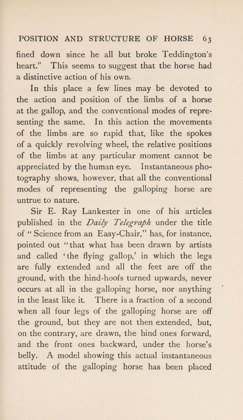 fined down since he all but broke Teddington's heart.” This seems to suggest that the horse had a distinctive action of his own. In this place a few lines may be devoted to the action and position of the limbs of a horse at the gallop, and the conventional modes of repre¬ senting the same. In this action the movements of the limbs are so rapid that, like the spokes of a quickly revolving wheel, the relative positions of the limbs at any particular moment cannot be appreciated by the human eye. Instantaneous pho¬ tography shows, however, that all the conventional modes of representing the galloping horse are untrue to nature. Sir E. Ray Lankester in one of his articles published in the Daily Telegraph under the title of “ Science from an Easy-Chair,” has, for instance, pointed out “that what has been drawn by artists and called ‘ the flying gallop,’ in which the legs are fully extended and all the feet are off the ground, with the hind-hoofs turned upwards, never occurs at all in the galloping horse, nor anything in the least like it. There is a fraction of a second when all four legs of the galloping horse are off the ground, but they are not then extended, but, on the contrary, are drawn, the hind ones forward, and the front ones backward, under the horse’s belly. A model showing this actual instantaneous attitude of the galloping horse has been placed