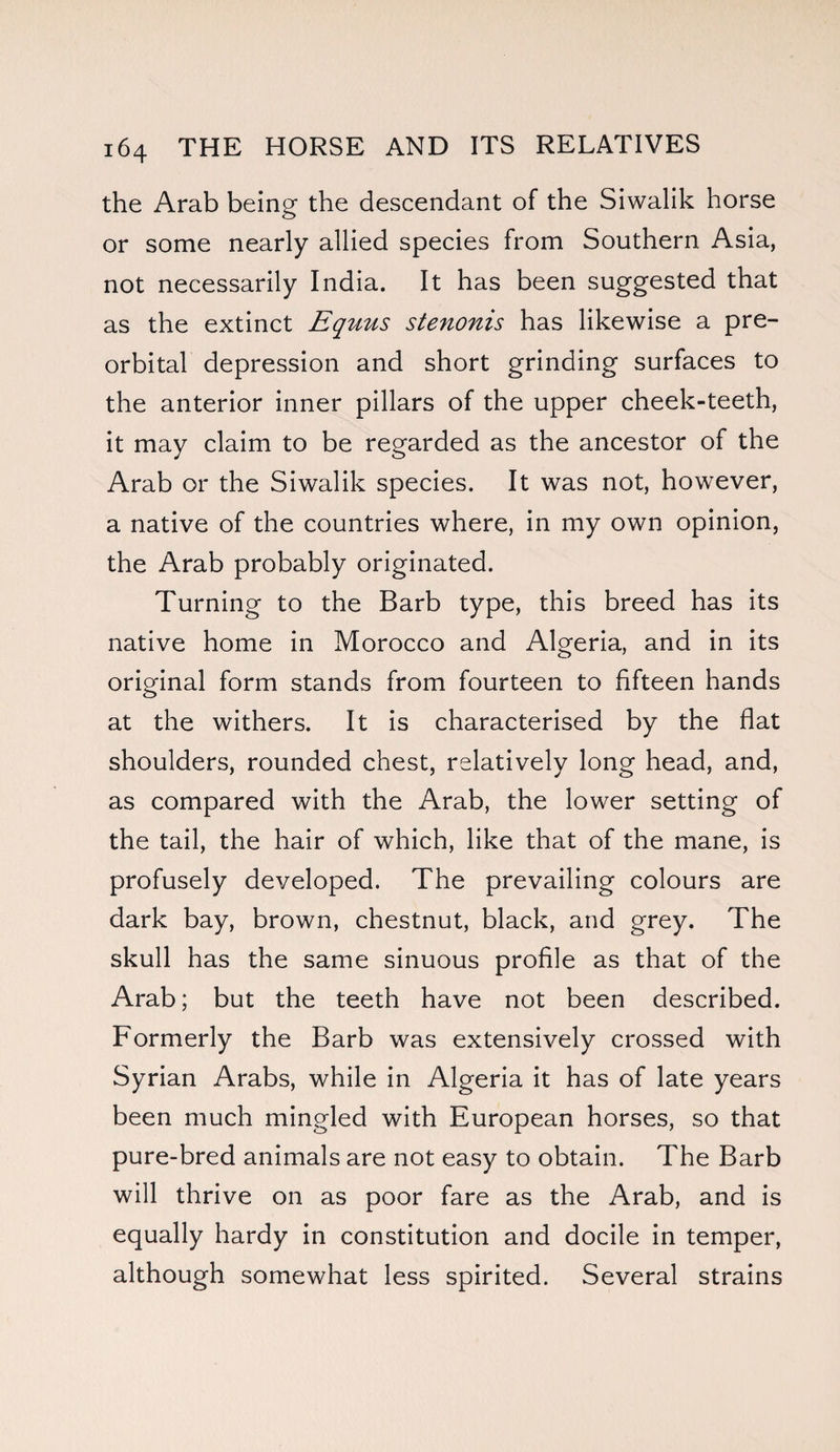 the Arab being the descendant of the Siwalik horse or some nearly allied species from Southern Asia, not necessarily India. It has been suggested that as the extinct Equus stenonis has likewise a pre¬ orbital depression and short grinding surfaces to the anterior inner pillars of the upper cheek-teeth, it may claim to be regarded as the ancestor of the Arab or the Siwalik species. It was not, however, a native of the countries where, in my own opinion, the Arab probably originated. Turning to the Barb type, this breed has its native home in Morocco and Algeria, and in its original form stands from fourteen to fifteen hands at the withers. It is characterised by the flat shoulders, rounded chest, relatively long head, and, as compared with the Arab, the lower setting of the tail, the hair of which, like that of the mane, is profusely developed. The prevailing colours are dark bay, brown, chestnut, black, and grey. The skull has the same sinuous profile as that of the Arab; but the teeth have not been described. Formerly the Barb was extensively crossed with Syrian Arabs, while in Algeria it has of late years been much mingled with European horses, so that pure-bred animals are not easy to obtain. The Barb will thrive on as poor fare as the Arab, and is equally hardy in constitution and docile in temper, although somewhat less spirited. Several strains