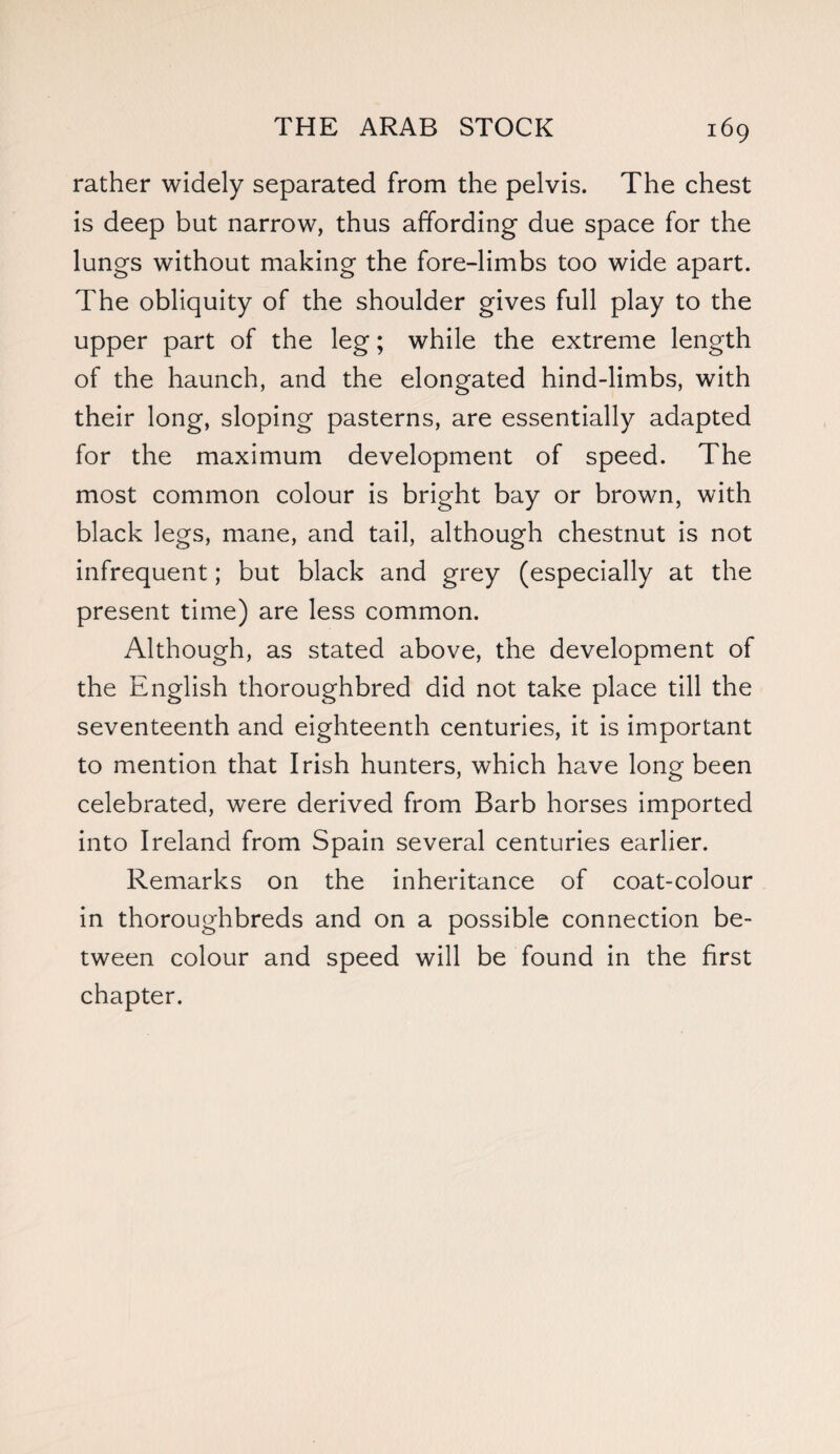 rather widely separated from the pelvis. The chest is deep but narrow, thus affording due space for the lungs without making the fore-limbs too wide apart. The obliquity of the shoulder gives full play to the upper part of the leg; while the extreme length of the haunch, and the elongated hind-limbs, with their long, sloping pasterns, are essentially adapted for the maximum development of speed. The most common colour is bright bay or brown, with black legs, mane, and tail, although chestnut is not infrequent; but black and grey (especially at the present time) are less common. Although, as stated above, the development of the English thoroughbred did not take place till the seventeenth and eighteenth centuries, it is important to mention that Irish hunters, which have long been celebrated, were derived from Barb horses imported into Ireland from Spain several centuries earlier. Remarks on the inheritance of coat-colour in thoroughbreds and on a possible connection be¬ tween colour and speed will be found in the first chapter.