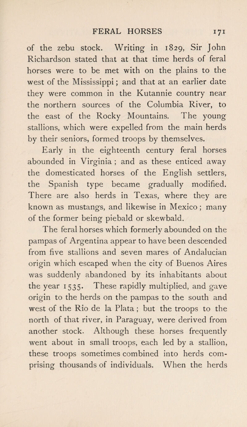 of the zebu stock. Writing in 1829, Sir John Richardson stated that at that time herds of feral horses were to be met with on the plains to the west of the Mississippi; and that at an earlier date they were common in the Kutannie country near the northern sources of the Columbia River, to the east of the Rocky Mountains. The young stallions, which were expelled from the main herds by their seniors, formed troops by themselves. Early in the eighteenth century feral horses abounded in Virginia ; and as these enticed away the domesticated horses of the English settlers, the Spanish type became gradually modified. There are also herds in Texas, where they are known as mustangs, and likewise in Mexico ; many of the former being piebald or skewbald. The feral horses which formerly abounded on the pampas of Argentina appear to have been descended from five stallions and seven mares of Andalucian origin which escaped when the city of Buenos Aires was suddenly abandoned by its inhabitants about the year 1535. These rapidly multiplied, and gave origin to the herds on the pampas to the south and west of the Rio de la Plata ; but the troops to the north of that river, in Paraguay, were derived from another stock. Although these horses frequently went about in small troops, each led by a stallion, these troops sometimes combined into herds com¬ prising thousands of individuals. When the herds