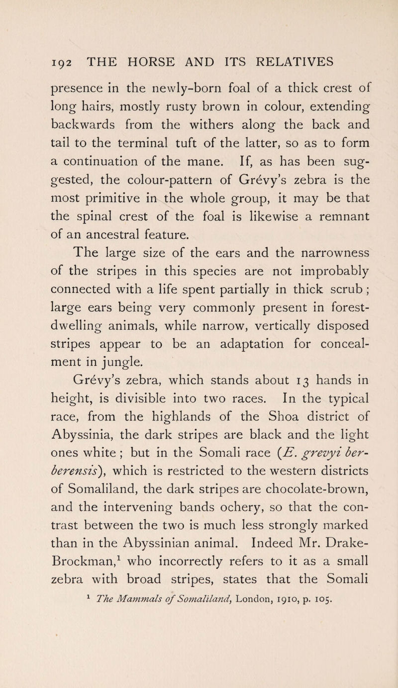 presence in the newly-born foal of a thick crest of long hairs, mostly rusty brown in colour, extending backwards from the withers along the back and tail to the terminal tuft of the latter, so as to form a continuation of the mane. If, as has been sug¬ gested, the colour-pattern of Grevy’s zebra is the most primitive in the whole group, it may be that the spinal crest of the foal is likewise a remnant of an ancestral feature. The large size of the ears and the narrowness of the stripes in this species are not improbably connected with a life spent partially in thick scrub ; large ears being very commonly present in forest¬ dwelling animals, while narrow, vertically disposed stripes appear to be an adaptation for conceal¬ ment in jungle. Grevy’s zebra, which stands about 13 hands in height, is divisible into two races. In the typical race, from the highlands of the Shoa district of Abyssinia, the dark stripes are black and the light ones white ; but in the Somali race (E. grevyi ber- berenszs), which is restricted to the western districts of Somaliland, the dark stripes are chocolate-brown, and the intervening bands ochery, so that the con¬ trast between the two is much less strongly marked than in the Abyssinian animal. Indeed Mr. Drake- Brockman,1 who incorrectly refers to it as a small zebra with broad stripes, states that the Somali