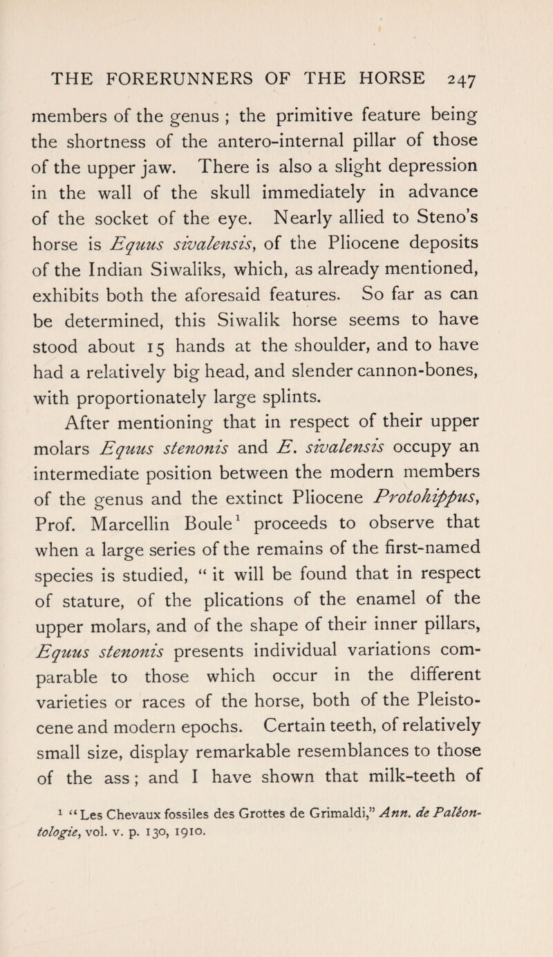 members of the genus ; the primitive feature being the shortness of the antero-internal pillar of those of the upper jaw. There is also a slight depression in the wall of the skull immediately in advance of the socket of the eye. Nearly allied to Steno’s horse is Equus sivalensis, of the Pliocene deposits of the Indian Siwaliks, which, as already mentioned, exhibits both the aforesaid features. So far as can be determined, this Siwalik horse seems to have stood about 15 hands at the shoulder, and to have had a relatively big head, and slender cannon-bones, with proportionately large splints. After mentioning that in respect of their upper molars Equus stenonis and E. sivalensis occupy an intermediate position between the modern members of the genus and the extinct Pliocene Protohippus, Prof. Marcellin Boule1 proceeds to observe that when a large series of the remains of the first-named species is studied, “ it will be found that in respect of stature, of the plications of the enamel of the upper molars, and of the shape of their inner pillars, Equus stenonis presents individual variations com¬ parable to those which occur in the different varieties or races of the horse, both of the Pleisto¬ cene and modern epochs. Certain teeth, of relatively small size, display remarkable resemblances to those of the ass; and I have shown that milk-teeth of 1 “ Les Chevaux fossiles des Grottes de Grimaldi,” Ann. de Paleon¬ tologies vol. v. p. 130, 1910.