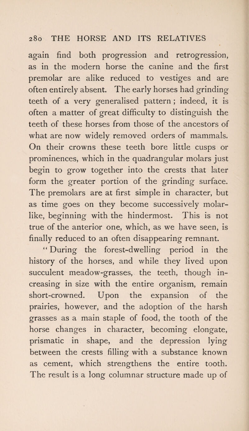 again find both progression and retrogression, as in the modern horse the canine and the first premolar are alike reduced to vestiges and are often entirely absent. The early horses had grinding teeth of a very generalised pattern ; indeed, it is often a matter of great difficulty to distinguish the teeth of these horses from those of the ancestors of what are now widely removed orders of mammals. On their crowns these teeth bore little cusps or prominences, which in the quadrangular molars just begin to grow together into the crests that later form the greater portion of the grinding surface. The premolars are at first simple in character, but as time goes on they become successively molar¬ like, beginning with the hindermost. This is not true of the anterior one, which, as we have seen, is finally reduced to an often disappearing remnant. “ During the forest-dwelling period in the history of the horses, and while they lived upon succulent meadow-grasses, the teeth, though in¬ creasing in size with the entire organism, remain short-crowned. Upon the expansion of the prairies, however, and the adoption of the harsh grasses as a main staple of food, the tooth of the horse changes in character, becoming elongate, prismatic in shape, and the depression lying between the crests filling with a substance known as cement, which strengthens the entire tooth. The result is a long columnar structure made up of