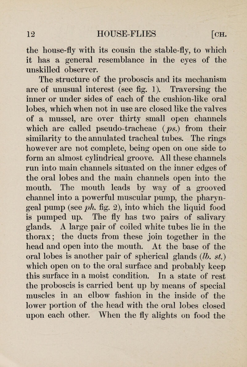 the house-fly with its cousin the stable-fly, to which it has a general resemblance in the eyes of the unskilled observer. The structure of the proboscis and its mechanism are of unusual interest (see fig. 1). Traversing the inner or under sides of each of the cushion-like oral lobes, which when not in use are closed like the valves of a mussel, are over thirty small open channels which are called pseudo-tracheae (ps.) from their similarity to the annulated tracheal tubes. The rings however are not complete, being open on one side to form an almost cylindrical groove. All these channels run into main channels situated on the inner edges of the oral lobes and the main channels open into the mouth. The mouth leads by way of a grooved channel into a powerful muscular pump, the pharyn¬ geal pump (see ph. fig. 2), into which the liquid food is pumped up. The fly has two pairs of salivary glands. A large pair of coiled white tubes lie in the thorax; the ducts from these join together in the head and open into the mouth. At the base of the oral lobes is another pair of spherical glands (lb. st.) which open on to the oral surface and probably keep this surface in a moist condition. In a state of rest the proboscis is carried bent up by means of special muscles in an elbow fashion in the inside of the lower portion of the head with the oral lobes closed upon each other. When the fly alights on food the