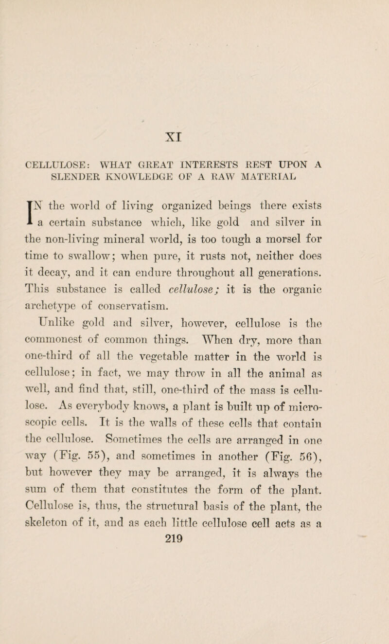 XI CELLULOSE: WHAT GREAT INTERESTS REST UPON A SLENDER KNOWLEDGE OF A RAW MATERIAL IN the world of living organized beings there exists a certain substance which, like gold and silver in the non-living mineral world, is too tough a morsel for time to swallow; when pure, it rusts not, neither does it decay, and it can endure throughout all generations. This substance is called cellulose; it is the organic archetype of conservatism. Unlike gold and silver, however, cellulose is the commonest of common things. When dry, more than one-third of all the vegetable matter in the world is cellulose; in fact, we may throw in all the animal as well, and find that, still, one-third of the mass is cellu¬ lose. As everybody knows, a plant is built up of micro¬ scopic cells. It is the walls of these cells that contain the cellulose. Sometimes the cells are arranged in one way (Fig. 55), and sometimes in another (Fig. 56), but however they may be arranged, it is always the sum of them that constitutes the form of the plant. Cellulose is, thus, the structural basis of the plant, the skeleton of it, and as each little cellulose cell acts as a