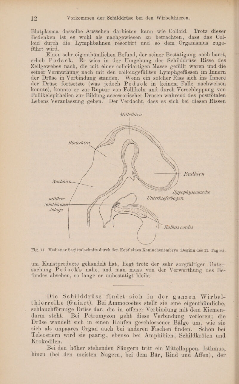 Blutplasma dasselbe Aussehen darbieten kann wie Colloid. Trotz dieser Bedenken ist es wohl als nachgewiesen zu betrachten, dass das Col¬ loid durch die Lympkbahnen resorbirt und so dem Organismus zuge¬ führt wird. Einen sehr eigenthümlicken Befund, der seiner Bestätigung noch harrt, erhob Podack. Er wies in der Umgebung der Schilddrüse Bisse des Zellgewebes nach, die mit einer colloidartigen Masse gefüllt waren und die seiner Vermuthung nach mit den colloidgefüllten Lymphgefässen im Innern der Drüse in Verbindung standen. Wenn ein solcher Biss sich ins Innere der Drüse fortsetzte (was jedoch Podack in keinem Ealle nachweisen konnte), könnte er zur Buptur von Follikeln und durch Verschleppung von Follikelepithelien zur Bildung accessorischer Drüsen während des postfötalen Lebens Veranlassung geben. Der Verdacht, dass es sich bei diesen Bissen Mittclhirn Fig. 11. Medianer Sagifctalsclmitt durch den Kopf eines Kaninchenembryo (Beginn des 11. Tages) um Kunstproducte gehandelt hat, liegt trotz der sehr sorgfältigen Unter¬ suchung Podack’s nahe, und man muss von der Verwerthung des Be¬ fundes absehen, so lange er unbestätigt bleibt. Die Schilddrüse findet sich in der ganzen Wirbel¬ thierreihe (Gruiart). Bei Ammocoetes stellt sie eine eigentümliche, schlauchförmige Drüse dar, die in offener Verbindung mit dem Kiemen¬ darm steht. Bei Petromyzon geht diese Verbindung verloren; die Drüse wandelt sich in einen Haufen geschlossener Bälge um, wie sie sich als unpaares Organ auch bei anderen Fischen finden. Schon bei Teleostiern wird sie paarig, ebenso bei Amphibien, Schildkröten und Krokodilen. Bei den höher stehenden Säugern tritt ein Mittellappen, Isthmus, hinzu (bei den meisten Nagern, bei dem Bär, Bind und Alfen), der