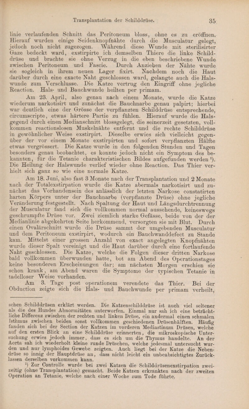 linie verlaufenden Schnitt das Peritoneum bloss, ohne es zu eröffnen. Hierauf wurden einige Seidenknopfnähte durch die Musculatur gelegt, jedoch noch nicht zugezogen. Während diese Wunde mit sterilisirter Gaze bedeckt ward, exstirpirte ich demselben Thiere die linke Schild¬ drüse und brachte sie ohne Verzug in die eben beschriebene Wunde zwischen Peritoneum und Fascie. Durch Anziehen der Nähte wurde sie sogleich in ihrem neuen Lager fixirt. Nachdem noch die Haut darüber durch eine exacte Naht geschlossen ward, gelangte auch die Hals¬ wunde zum Verschlüsse. Die Katze vertrug den Eingriff ohne jegliche Reaction. Hals* und Bauchwunde heilten per primam. Am 28. April, also genau nach einem Monate, wurde die Katze wiederum narkotisirt und zunächst die Bauchnarbe genau palpirt; hierbei war deutlich eine der Grösse der verpflanzten Schilddrüse entsprechende, circumscripte, etwas härtere Partie zu fühlen. Hierauf wurde die Hals¬ gegend durch einen Medianschnitt blossgelegt, die seinerzeit gesetzten, voll¬ kommen reactionslosen Muskelnähte entfernt und die rechte Schilddrüse in gewöhnlicher Weise exstirpirt. Dieselbe erwies sich vielleicht gegen¬ über der vor einem Monate exstirpirten und sofort verpflanzten Hälfte etwas vergrössert. Die Katze wurde in den folgenden Stunden und Tagen besonders genau beobachtet, es konnte jedoch nicht ein Symptom des be¬ kannten, für die Tetanie charakteristischen Bildes aufgefunden werden1). Die Heilung der Halswunde verlief wieder ohne Keaction. Das Thier ver¬ hielt sich ganz so wie eine normale Katze. Am 18. Juni, also fast 3 Monate nach der Transplantation und 2 Monate nach der Totalexstirpation wurde die Katze abermals narkotisirt und zu¬ nächst das Vorhandensein des anlässlich der letzten Narkose constatirten harten Körpers unter der Bauchnarbe (verpflanzte Drüse) ohne jegliche Veränderung festgestellt. Nach Spaltung der Haut und Längsdurchtrennung der Musculatur fand sich die vollkommen normal aussehende, keineswegs geschrumpfte Drüse vor. Zwei ziemlich starke Gefässe, beide von der der Medianlinie abgekehrten Seite herkommend, versorgten sie mit Blut. Durch einen Ovalärschnitt wurde die Drüse sammt der umgebenden Musculatur und dem Peritoneum exstirpirt, wodurch ein Bauchwanddefect zu Stande kam. Mittelst einer grossen Anzahl von exact angelegten Knopfnähten wurde dieser Spalt vereinigt und die Haut darüber durch eine fortlaufende Naht geschlossen. Die Katze, welche die Folgen dieser dritten Narkose bald vollkommen überwunden hatte, bot am Abend des Operationstages keine besonderen Erscheinungen dar; am nächsten Morgen erschien sie schon krank, am Abend waren die Symptome der typischen Tetanie in tadelloser Weise vorhanden. Am 3. Tage post operationem verendete das Thier. Bei der Obduction zeigte sich die Hals- und Bauchwunde per primam verheilt, sehen Schilddrüsen erklärt werden. Die Katzenschilddrüse ist auch viel seltener als die des Hundes Abnormitäten unterworfen. Einmal nur sah ich eine beträcht¬ liche Differenz zwischen der rechten und linken Drüse, ein andermal einen schmalen Isthmus zwischen beiden sonst vollkommen geschiedenen Drüsenhälften. Häufig landen sich bei der Section der Katzen im vorderen Mediastinum Drüsen, welche auf den ersten Blick an eine Schilddrüse erinnerten, die mikroskopische Unter¬ suchung erwies jedoch immer, dass es sich um die Thymus handelte. An der Aorta sah ich wiederholt kleine runde Drüschen, welche jedesmal untersucht wur¬ den und nur lymphoides Gewebe zeigten. Auch liegt bei der Katze die Neben¬ drüse so innig der Hauptdrüse an, dass nicht leicht ein unbeabsichtigtes Zurück¬ lassen derselben Vorkommen kann. b Zur Controlle wurde bei zwei Katzen die Schilddrüsenexstirpation zwei¬ zeitig (ohne Transplantation) gemacht. Beide Katzen erkrankten nach der zweiten Operation an Tetanie, welche nach einer Woche zum Tode führte.