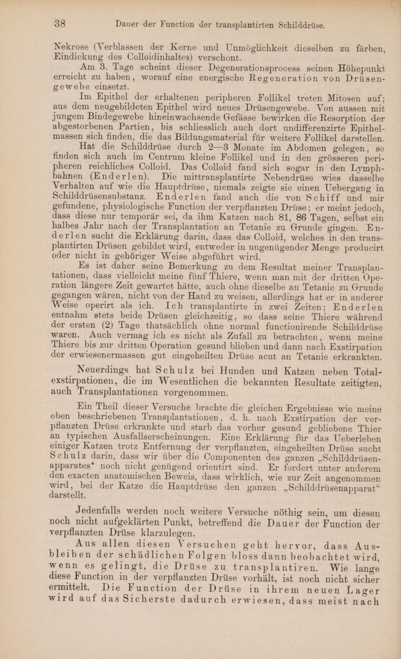 Nekrose (Verblassen der Kerne und Unmöglichkeit dieselben zu färben, Eindickung des Colloidinhaltes) verschont. Am 3. Tage scheint dieser Degenerationsprocess seinen Höhepunkt erreicht zu haben, worauf eine energische Regeneration von Drüsen¬ gewebe einsetzt. Im Epithel der erhaltenen peripheren Follikel treten Mitosen auf; aus dem neugebildeten Epithel wird neues Drüsengewebe. Von aussen mit jungem Bindegewebe hineinwachsende Gefässe bewirken die Resorption der abgestorbenen Partien, bis schliesslich auch dort undifferenzirte Epithel¬ massen sich finden, die das Bildungsmaterial für weitere Follikel darstellen. Hat die Schilddrüse durch 2—3 Monate im Abdomen gelegen, so finden sich auch im Centrum kleine Follikel und in den grösseren peri¬ pheren reichliches Colloid. Das Colloid fand sich sogar in den Lymph- bahnen (End er len). Die mittransplantirte Nebendrüse wies dasselbe Verhalten auf wie die Hauptdrüse, niemals zeigte sie einen Uebergang in Schilddrüsensubstanz. End er len fand auch die von Schiff und mir gefundene, physiologische Function der verpflanzten Drüse; er meint jedoch, dass diese nur temporär sei, da ihm Katzen nach 81, 86 Tagen, selbst ein halbes Jahr nach der Transplantation an Tetanie zu Grunde gingen. En¬ de Hen sucht die Erklärung darin, dass das Colloid, welches in den trans¬ plantirten Drüsen gebildet wird, entweder in ungenügender Menge producirt oder nicht in gehöriger Weise abgeführt wird. Es ist daher seine Bemerkung zu dem Resultat meiner Transplan¬ tationen, dass vielleicht meine fünf Thiere, wenn man mit der dritten Ope¬ ration längere Zeit gewartet hätte, auch ohne dieselbe an Tetanie zu Grunde gegangen wären, nicht von der Hand zu weisen, allerdings hat er in anderer Weise operirt als ich. Ich transplantirte in zwei Zeiten; Enderlen entnahm stets beide Drüsen gleichzeitig, so dass seine Thiere während der ersten (2) Tage thatsächlich ohne normal functionirende Schilddrüse waren. Auch vermag ich es nicht als Zufall zu betrachten, wenn meine Thiere bis zur dritten Operation gesund blieben und dann nach Exstirpation der erwiesenermassen gut eingeheilten Drüse acut an Tetanie erkrankten. Neuerdings, hat Schulz bei Hunden und Katzen neben Total¬ exstirpationen, die im Wesentlichen die bekannten Resultate zeitigten, auch Transplantationen vorgenommen. Ein Theil dieser Versuche brachte die gleichen Ergebnisse wie meine oben beschriebenen Transplantationen, d. h. nach Exstirpation der ver¬ pflanzten Drüse erkrankte und starb das vorher gesund gebliebene Thier an typischen Ausfallserscheinungen. Eine Erklärung für das Ueberleben einiger Katzen trotz Entfernung der verpflanzten, eingeheilten Drüse sucht Schulz darin, dass wir über die Componenten des ganzen „Schilddrüsen¬ apparates noch nicht genügend orientirt sind. Er fordert unter anderem den exacten anatomischen Beweis, dass wirklich, wie zur Zeit angenommen wird, bei der Katze die Hauptdrüse den ganzen „Schilddrüsenapparat“ dar stellt. Jedenfalls werden noch weitere Versuche nöthig sein, um diesen noch nicht aufgeklärten Punkt, betreffend die Dauer der Function der verpflanzten Drüse klarzulegen. Aus allen diesen Versuchen geht hervor, dass Aus¬ bleiben der schädlichen Folgen bloss dann beobachtet wird, wenn es gelingt, die Drüse zu transplantiren. Wie lange diese Function in der verpflanzten Drüse vorhält, ist noch nicht sicher ermittelt. Die Function der Drüse in ihrem neuen Lager wird auf das Sicherste dadurch erwiesen, dass meist nach