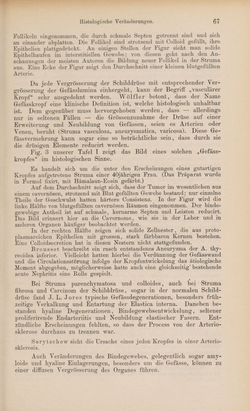 Follikeln eingenommen, die durch schmale Septen getrennt sind und sich an einander abplatten. Die Follikel sind strotzend mit Colloid gefüllt, ihre Epithelien plattgedrückt. An einigen Stellen der Figur sieht man solide Epithelhaufen im interstitiellen Gewebe; von diesen geht nach den An¬ schauungen der meisten Autoren die Bildung neuer Follikel in der Struma aus. Eine Ecke der Figur zeigt den Durchschnitt einer kleinen blutgefüllten Arterie. Da jede Yergrösserung der Schilddrüse mit entsprechender Ver- grösserung der Gefässlumina einhergeht, kann der Begriff „vasculärer Kropf“ sehr ausgedehnt werden. Wölfler betont, dass der Name Gefässkropf eine klinische Definition ist, welche histologisch unhaltbar ist. Dem gegenüber muss hervorgehoben werden, dass — allerdings nur in seltenen Fällen — die Grössenzunahme der Drüse auf einer Erweiterung und Neubildung von Gefässen, seien es Arterien oder Venen, beruht (Struma vasculosa, aneurysmatica, varicosa). Diese Ge- fässvermehrung kann sogar eine so beträchtliche sein, dass durch sie die drüsigen Elemente reducirt werden. Fig. 3 unserer Tafel I zeigt das Bild eines solchen „Gefäss- kropfes“ im histologischen Sinne. Es handelt sich um die unter den Erscheinungen eines gutartigen Kropfes aufgetretene Struma einer 40jährigen Frau. (Das Präparat wurde in Formol fixirt, mit Hämalaun-Eosin gefärbt.) Auf dem Durchschnitt zeigt sich, dass der Tumor im wesentlichen aus einem cavernösen, strotzend mit Blut gefüllten Gewebe bestand; nur einzelne Theile der Geschwulst hatten härtere Consistenz. In der Figur wird die linke Hälfte von blutgefüllten cavernösen Räumen eingenommen. Der binde¬ gewebige Antheil ist auf schmale, kernarme Septen und Leisten reducirt. Das Bild erinnert hier an die Cavernome, wie sie in der Leber und in anderen Organen häufiger beobachtet werden. In der rechten Hälfte zeigen sich solide Zellnester, die aus proto¬ plasmareichen Epithelien mit grossen, stark färbbaren Kernen bestehen. Eine Colloidsecretion hat in diesen Nestern nicht stattgefunden. Brousset beschreibt ein rasch entstandenes Aneurysma der A. thy- reoidea inferior. Vielleicht hatten hierbei die Verdünnung der Gefässwand und die Circulationsstörung infolge der Kropfentwickelung das ätiologische Moment abgegeben, möglicherweise hatte auch eine gleichzeitig' bestehende acute Nephritis eine Rolle gespielt. « Bei Struma parenchymatosa und colloides, auch bei Struma fibrosa und Carcinom der Schilddrüse, sogar in der normalen Schild¬ drüse fand J. L. Jores typische Gefässdegenerationen, besonders früh¬ zeitige Verkalkung und Entartung der Elastica interna. Daneben be¬ standen hyaline Degenerationen, Bindegewebsentwickelung, seltener proliferirende Endarteriitis und Neubildung elastischer Fasern. Ent¬ zündliche Erscheinungen fehlten, so dass der Process von der Arterio¬ sklerose durchaus zu trennen war. Sarytschew sieht die Ursache eines jeden Kropfes in einer Arterio- sklerosis. Auch Veränderungen des Bindegewebes, gelegentlich sogar amy- loide und hyaline Einlagerungen, besonders um die Gefässe, können zu einer diffusen Yergrösserung des Organes führen.