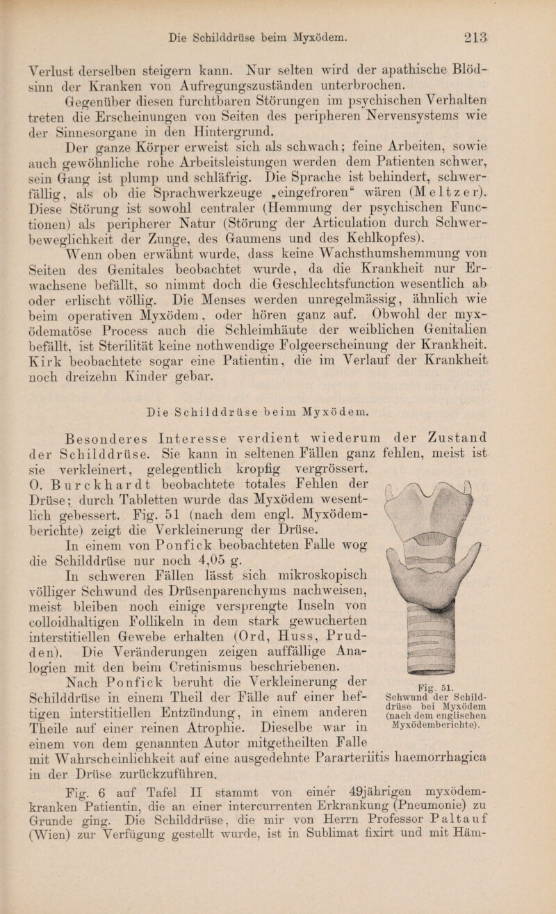 Verlust derselben steigern kann. Nur selten wird der apathische Blöd¬ sinn der Kranken von Aufregungszuständen unterbrochen. Gegenüber diesen furchtbaren Störungen im psychischen Verhalten treten die Erscheinungen von Seiten des peripheren Nervensystems wie der Sinnesorgane in den Hintergrund. Der ganze Körper erweist sich als schwach; feine Arbeiten, sowie auch gewöhnliche rohe Arbeitsleistungen werden dem Patienten schwer, sein Gang ist plump und schläfrig. Die Sprache ist behindert, schwer¬ fällig, als ob die Sprachwerkzeuge „eingefroren“ wären (Meitzer). Diese Störung ist sowohl centraler (Hemmung der psychischen Func¬ tionen) als peripherer Natur (Störung der Articulation durch Schwer¬ beweglichkeit der Zunge, des Gaumens und des Kehlkopfes). Wenn oben erwähnt wurde, dass keine Wrachsthumshemmung von Seiten des Genitales beobachtet wurde, da die Krankheit nur Er¬ wachsene befällt, so nimmt doch die Geschlechtsfunction wesentlich ab oder erlischt völlig. Die Menses werden unregelmässig, ähnlich wie beim operativen Myxödem, oder hören ganz auf. Obwohl der myx- ödematöse Process auch die Schleimhäute der weiblichen Genitalien befällt, ist Sterilität keine nothwendige Folgeerscheinung der Krankheit. Kirk beobachtete sogar eine Patientin, die im Verlauf der Krankheit, noch dreizehn Kinder gebar. Die Schilddrüse beim Myxödem. Besonderes Interesse verdient wiederum der Zustand der Schilddrüse. Sie kann in seltenen Fällen ganz fehlen, meist ist sie verkleinert, gelegentlich kropfig vergrössert. 0. Burckhardt beobachtete totales Fehlen der Drüse; durch Tabletten wurde das Myxödem wesent¬ lich gebessert. Fig. 51 (nach dem engl. Myxödem¬ berichte) zeigt die Verkleinerung der Drüse. In einem von Ponfick beobachteten Falle wog die Schilddrüse nur noch 4,05 g. In schweren Fällen lässt sich mikroskopisch völliger Schwund des Drüsenparenchyms nachweisen, meist bleiben noch einige versprengte Inseln von colloidhaltigen Follikeln in dem stark gewucherten interstitiellen Gewebe erhalten (Ord, Huss, Prud- den). Die Veränderungen zeigen auffällige Ana¬ logien mit den beim Cretinismus beschriebenen. Nach Ponfick beruht die Verkleinerung der Schilddrüse in einem Theil der Fälle auf einer hef¬ tigen interstitiellen Entzündung, in einem anderen Theile auf einer reinen Atrophie. Dieselbe war in einem von dem genannten Autor mitgetheilten Falle mit Wahrscheinlichkeit auf eine ausgedehnte Pararteriitis haemorrhagica in der Drüse zurückzuführen. Fig. 6 auf Tafel II stammt von einer 49jährigen myxödem- kranken Patientin, die an einer intercurrenten Erkrankung (Pneumonie) zu Grunde ging. Die Schilddrüse, die mir von Herrn Professor Paltauf (Wien) zur Verfügung gestellt wurde, ist in Sublimat fixirt und mit Häm- (nach dem englischen Myxödemberichte).