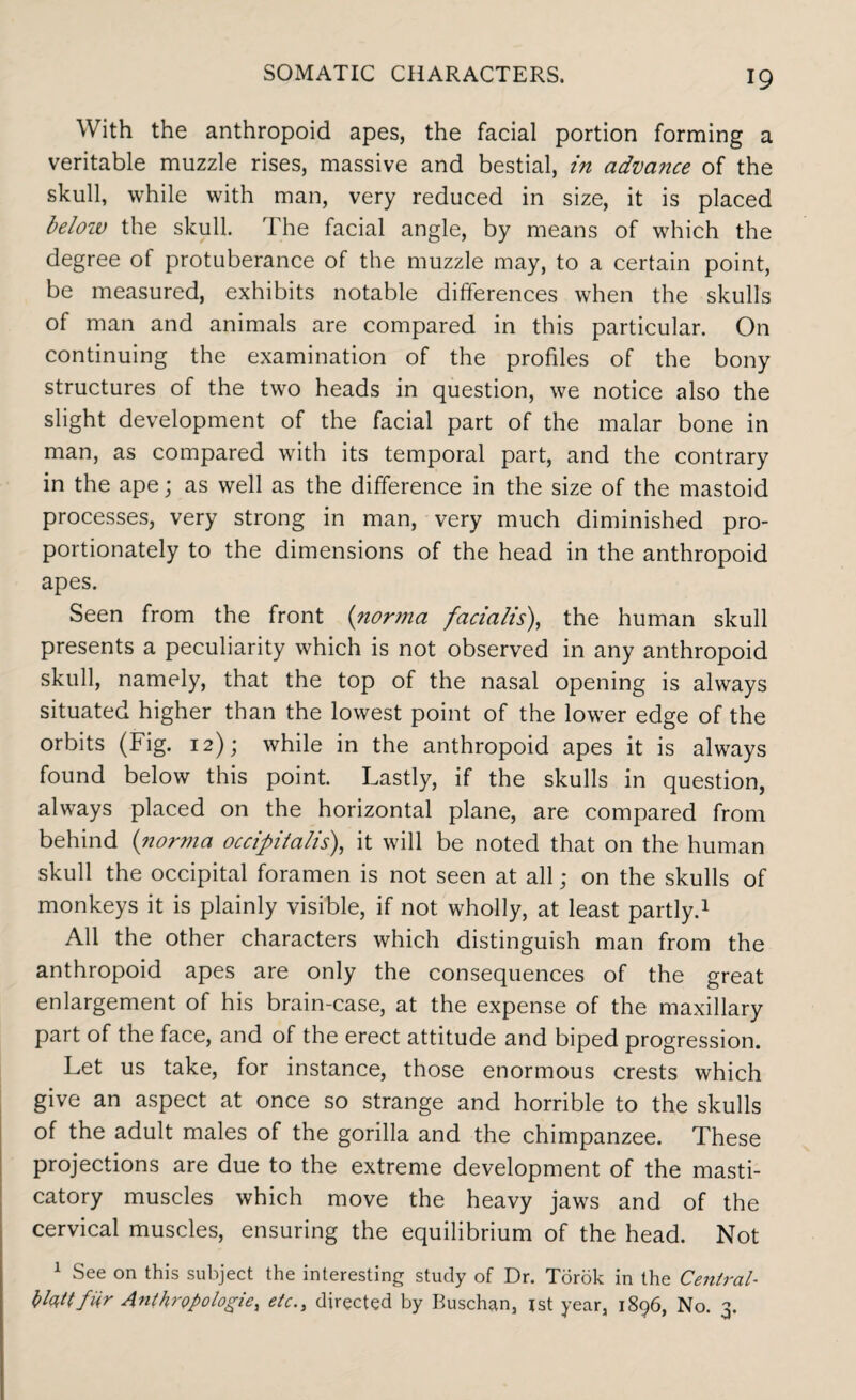 With the anthropoid apes, the facial portion forming a veritable muzzle rises, massive and bestial, in advance of the skull, while with man, very reduced in size, it is placed below the skull. The facial angle, by means of which the degree of protuberance of the muzzle may, to a certain point, be measured, exhibits notable differences when the skulls of man and animals are compared in this particular. On continuing the examination of the profiles of the bony structures of the two heads in question, we notice also the slight development of the facial part of the malar bone in man, as compared with its temporal part, and the contrary in the ape; as well as the difference in the size of the mastoid processes, very strong in man, very much diminished pro¬ portionately to the dimensions of the head in the anthropoid apes. Seen from the front (norma facialis), the human skull presents a peculiarity which is not observed in any anthropoid skull, namely, that the top of the nasal opening is always situated higher than the lowest point of the lower edge of the orbits (Fig. 12); while in the anthropoid apes it is always found below this point. Lastly, if the skulls in question, always placed on the horizontal plane, are compared from behind (norma occipitalis), it will be noted that on the human skull the occipital foramen is not seen at all; on the skulls of monkeys it is plainly visible, if not wholly, at least partly.1 All the other characters which distinguish man from the anthropoid apes are only the consequences of the great enlargement of his brain-case, at the expense of the maxillary part of the face, and of the erect attitude and biped progression. Let us take, for instance, those enormous crests which give an aspect at once so strange and horrible to the skulls of the adult males of the gorilla and the chimpanzee. These projections are due to the extreme development of the masti¬ catory muscles which move the heavy jaws and of the cervical muscles, ensuring the equilibrium of the head. Not 1 See on this subject the interesting study of Dr. Torok in the Central- bla,ttfiir Anthropologic, etc., directed by Buschan, jst year, 1896, No. 3.