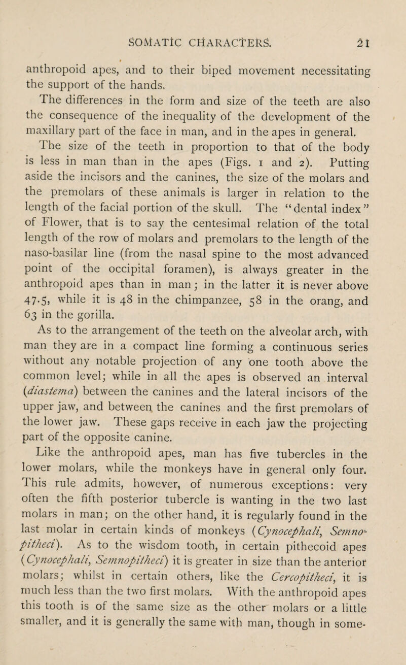 anthropoid apes, and to their biped movement necessitating the support of the hands. The differences in the form and size of the teeth are also the consequence of the inequality of the development of the maxillary part of the face in man, and in the apes in general. The size of the teeth in proportion to that of the body is less in man than in the apes (Figs, i and 2). Putting aside the incisors and the canines, the size of the molars and the premolars of these animals is larger in relation to the length of the facial portion of the skull. The “dental index” of Flower, that is to say the centesimal relation of the total length of the row of molars and premolars to the length of the naso-basilar line (from the nasal spine to the most advanced point of the occipital foramen), is always greater in the anthropoid apes than in man; in the latter it is never above 47-5j while it is 48 in the chimpanzee, 58 in the orang, and 63 in the gorilla. As to the arrangement of the teeth on the alveolar arch, with man they are in a compact line forming a continuous series without any notable projection of any one tooth above the common level; while in all the apes is observed an interval (diastema) between the canines and the lateral incisors of the upper jaw, and between the canines and the first premolars of the lower jaw. These gaps receive in each jaw the projecting part of the opposite canine. Like the anthropoid apes, man has five tubercles in the lower molars, while the monkeys have in general only four* This rule admits, however, of numerous exceptions: very often the fifth posterior tubercle is wanting in the two last molars in man; on the other hand, it is regularly found in the last molar in certain kinds of monkeys (Cynocephali,, Semno- pitheci). As to the wisdom tooth, in certain pithecoid apes ('Cynocephali, Semnopitheci) it is greater in size than the anterior molars; whilst in certain others, like the Cercopitheci, it is much less than the two first molars. With the anthropoid apes ihis tooth is of the same size as the other molars or a little smaller, and it is generally the same with man, though in some-