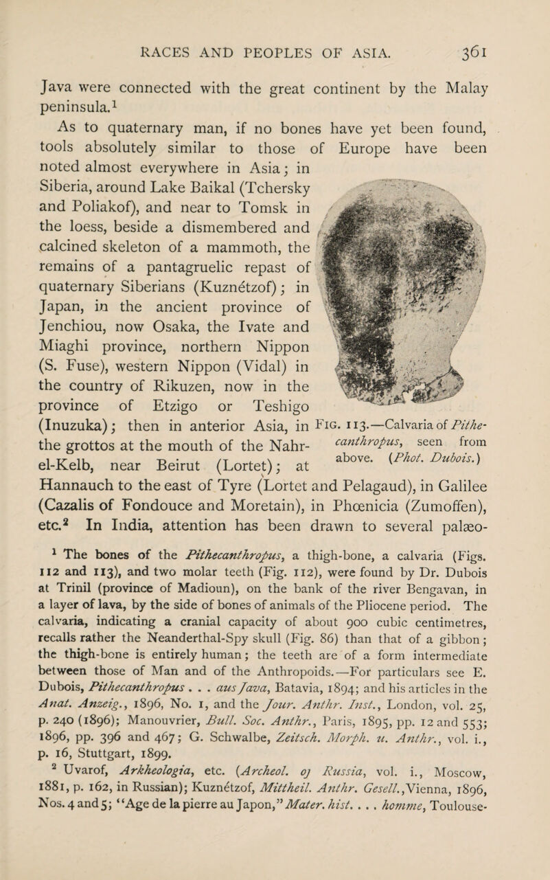 been found, have been Java were connected with the great continent by the Malay peninsula.1 As to quaternary man, if no bones have yet tools absolutely similar to those of Europe noted almost everywhere in Asia; in Siberia, around Lake Baikal (Tchersky and Poliakof), and near to Tomsk in the loess, beside a dismembered and calcined skeleton of a mammoth, the remains of a pantagruelic repast of quaternary Siberians (Kuznetzof); in Japan, in the ancient province of Jenchiou, now Osaka, the Ivate and Miaghi province, northern Nippon (S. Fuse), western Nippon (Vidal) in the country of Rikuzen, now in the province of Etzigo or Teshigo (Inuzuka); then in anterior Asia, in Fig. 113.—Calvaria of Pithe- the grottos at the mouth of the Nahr- canthropus, el-Kelb, near Beirut (Lortet); at Hannauch to the east of Tyre (Lortet and Pelagaud), in Galilee (Cazalis of Fondouce and Moretain), in Phoenicia (Zumoffen), etc.2 In India, attention has been drawn to several palaeo- seen from {Phot. Dubois.) 1 The bones of the Pithecanthropus, a thigh-bone, a calvaria (Figs. 112 and 113), and two molar teeth (Fig. 112), were found by Dr. Dubois at Trinil (province of Madioun), on the bank of the river Bengavan, in a layer of lava, by the side of bones of animals of the Pliocene period. The calvaria, indicating a cranial capacity of about 900 cubic centimetres, recalls rather the Neanderthal-Spy skull (Fig. 86) than that of a gibbon; the thigh-bone is entirely human; the teeth are of a form intermediate between those of Man and of the Anthropoids.—For particulars see E. Dubois, Pithecanthropus . . . aus Java, Batavia, 1894; and his articles in the Anat. Anzetg., 1896, No. 1, and the Jour. Anthr. Inst., London, vol. 25, p. 240 (1896); Manouvrier, Bull. Soc. Anthr., Paris, 1895, PP- 12 and 553; 1896, pp. 396 and 467; G. Schwalbe, Zeitsch. Morph, u. Anthr., vol. i., p. 16, Stuttgart, 1899. 2 Uvarof, Arkheologia, etc. {Archeol. oj Russia, vol. i., Moscow, 1881, p. 162, in Russian); Kuznetzof, Mittheil. Anthr. Gesell.,Vienna, 1896, Nos. 4 and 5; “Age de la pierre au Japon,” hist. . . . homme, Toulouse-