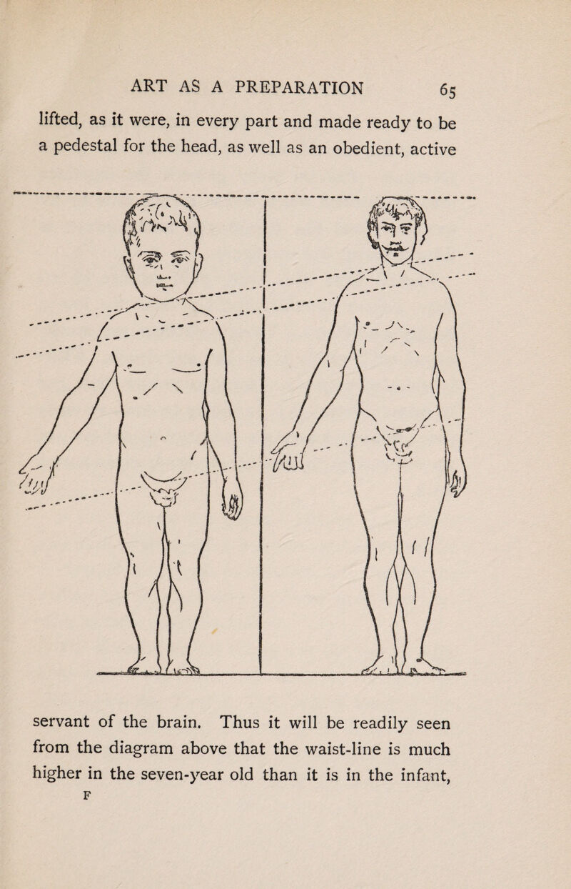 lifted, as it were, in every part and made ready to be a pedestal for the head, as well as an obedient, active servant of the brain. Thus it will be readily seen from the diagram above that the waist-line is much higher in the seven-year old than it is in the infant, F
