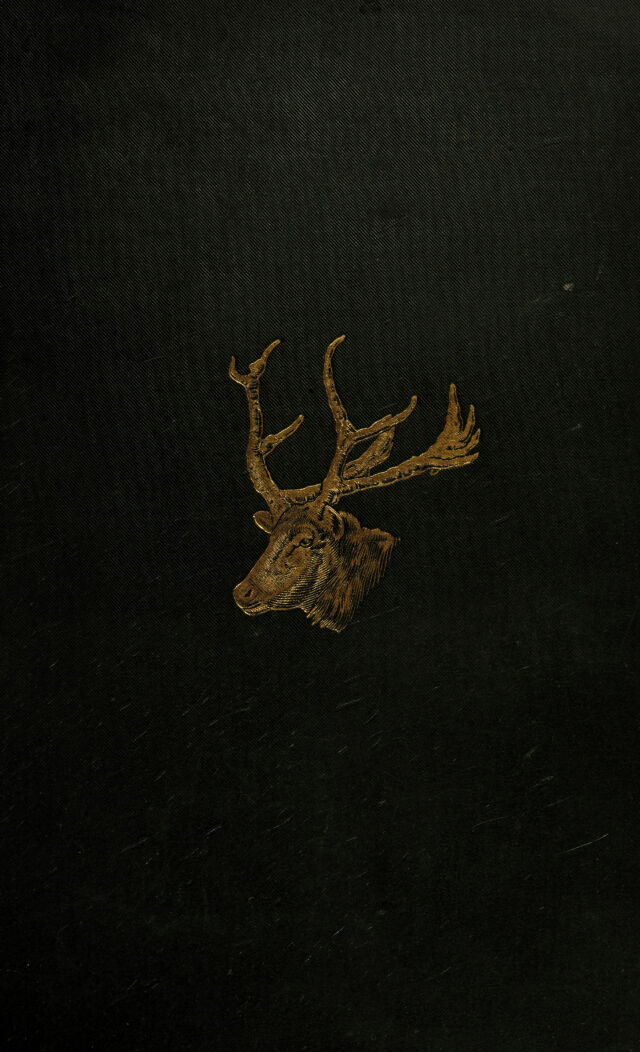 digitised image 1