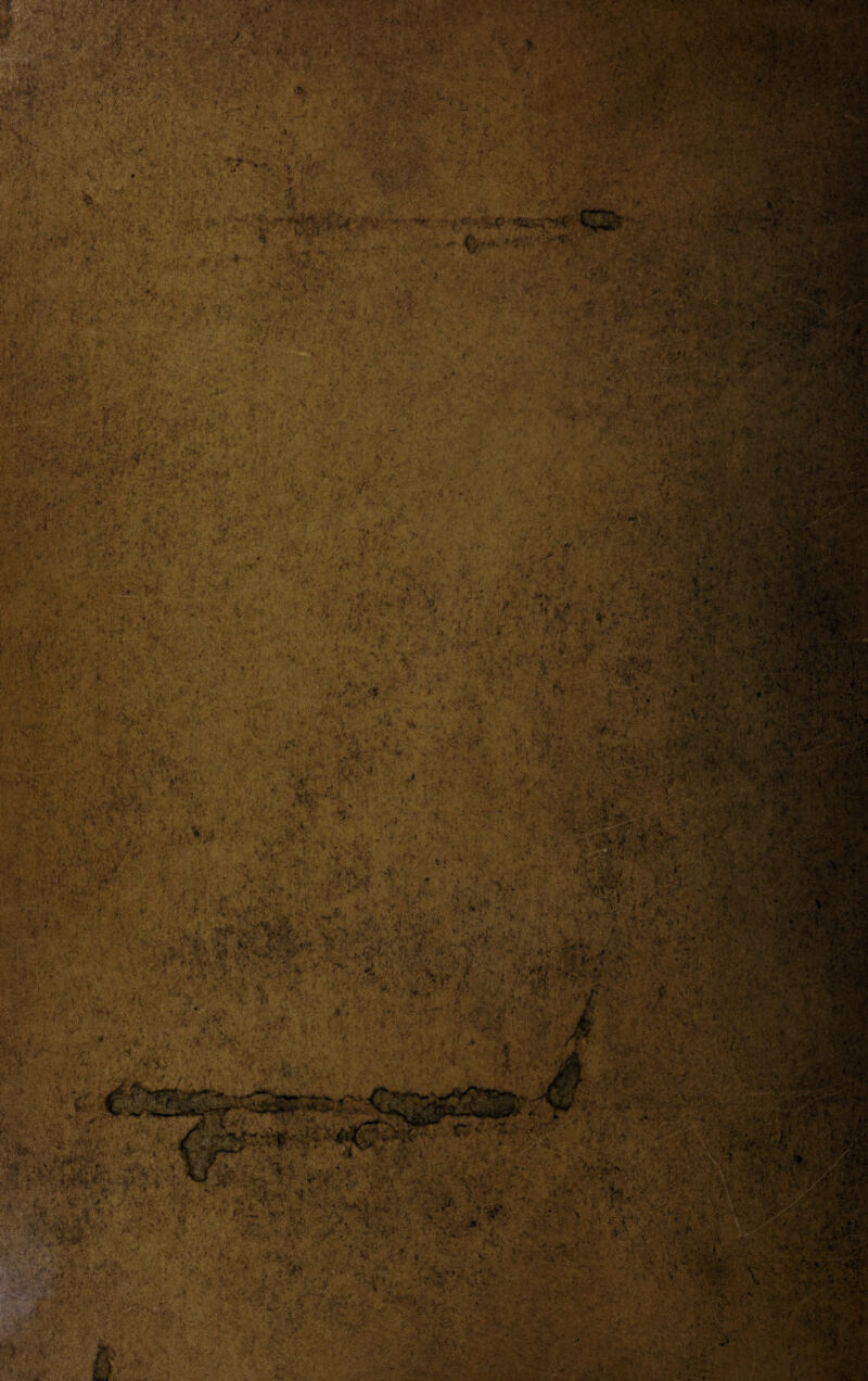 ; . .... ’v’v »,*•* * y ?■ ir - ' . i ‘ ' ■ . ; *.■'••*' . *t > £ .* * * 'A»*Y* , ■ffJw ■■./■ ■ ■■ . 4 , Avay*-- ,•••,•• •.v-vs,y v$ ^ *?■-.. \■ ■ * '., ’» i1, , ■ ■ , t . *■ ^ Vf *.*i *£- T ** t.* ^LM, t*r • , »>• 4 y • »W« /• /. • * f, « ‘ - • k»> , - • ' *#Jw v«* •' :.. - -'rhr% .f < * ' ' ' / . t?XU,' VpS** m v ? ,-V 'i” ■ ■ • • ■■•• ■•••.. <• . . . . ■ tim •. . ■ ■ •• ■ • •.. ■ ■ ' ' ;v* V -V. . • ■ • ’ 4 ■ '• •• r-M ■ ■ - ' - ' • ■* r* ■ / * •’ •”■ ’ A> r • dL. - . ■ » • ’ .• 4 .. • • ,'U'ti . ■ ■ ■ • y ■ ■ 'V^ t,