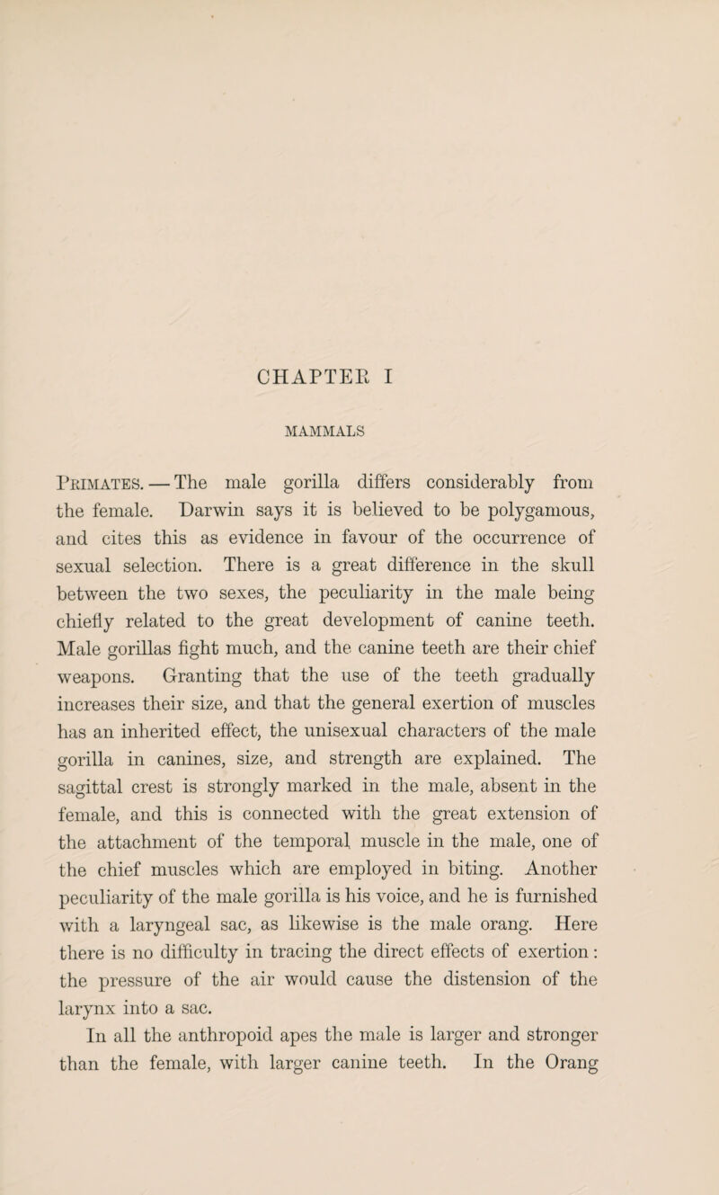 MAMMALS Primates. — The male gorilla differs considerably from the female. Darwin says it is believed to be polygamous, and cites this as evidence in favour of the occurrence of sexual selection. There is a great difference in the skull between the two sexes, the peculiarity in the male being chiefly related to the great development of canine teeth. Male gorillas fight much, and the canine teeth are their chief weapons. Granting that the use of the teeth gradually increases their size, and that the general exertion of muscles has an inherited effect, the unisexual characters of the male gorilla in canines, size, and strength are explained. The sagittal crest is strongly marked in the male, absent in the female, and this is connected with the great extension of the attachment of the temporal muscle in the male, one of the chief muscles which are employed in biting. Another peculiarity of the male gorilla is his voice, and he is furnished with a laryngeal sac, as likewise is the male orang. Here there is no difficulty in tracing the direct effects of exertion: the pressure of the air would cause the distension of the larynx into a sac. In all the anthropoid apes the male is larger and stronger than the female, with larger canine teeth. In the Orang