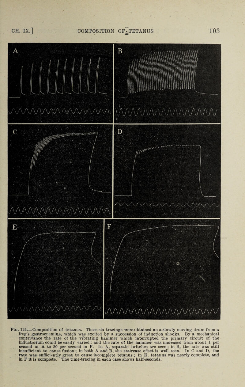 Fxo. 124.—Composition of tetanus. These six tracings were obtained on a slowly moving drum from a frog’s gastrocnemius, which was excited by a succession of induction shocks. By a mechanical contrivance the rate of the vibrating hammer which interrupted the primary circuit of the inductorium could be easily varied; and the rate of the hammer was increased from about 1 per second in A to 30 per second in F. In A, separate twitches are seen; in B, the rate was still insufficient to cause fusion; in both A and B, the staircase effect is well seen. In C and D, the rate was sufficiently great to cause incomplete tetanus; in E, tetanus was nearly complete, and in F it is complete. The time-tracing in each case shows half-seconds.