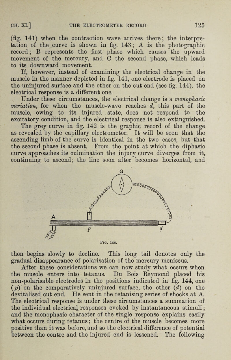 (fig. 141) when the contraction wave arrives there; the interpre¬ tation of the curve is shown in fig. 143; A is the photographic record; B represents the first phase which causes the upward movement of the mercury, and C the second phase, which leads to its downward movement. If, however, instead of examining the electrical change in the muscle in the manner depicted in fig. 141, one electrode is placed on the uninjured surface and the other on the cut end (see fig. 144), the electrical response is a different one. Under these circumstances, the electrical change is a monophasic variation, for when the muscle-wave reaches d, this part of the muscle, owing to its injured state, does not respond to the excitatory condition, and the electrical response is also extinguished. The grey curve in fig. 142 is the graphic record of the change as revealed by the capillary electrometer. It will be seen that the ascending limb of the curve is identical in the two cases, but that the second phase is absent. From the point at which the diphasic curve approaches its culmination the injury curve diverges from it, continuing to ascend; the line soon after becomes horizontal, and G then begins slowly to decline. This long tail denotes only the gradual disappearance of polarisation of the mercury meniscus. After these considerations we can now study what occurs when the muscle enters into tetanus. Du Bois Beymond placed his non-polarisable electrodes in the positions indicated in fig. 144, one (p) on the comparatively uninjured surface, the other (d) on the devitalised cut end. He sent in the tetanising series of shocks at A. The electrical response is under these circumstances a summation of the individual electrical responses evoked by instantaneous stimuli; and the monophasic character of the single response explains easily what occurs during tetanus; the centre of the muscle becomes more positive than it was before, and so the electrical difference of potential between the centre and the injured end is lessened. The following