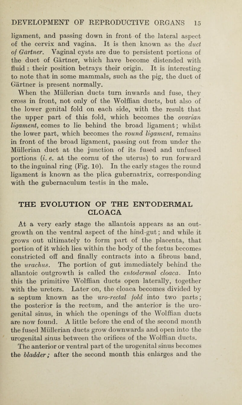 ligament, and passing down in front of the lateral aspect of the cervix and vagina. It is then known as the duct of Gartner. Vaginal cysts are due to persistent portions of the duct of Gartner, which have become distended with fluid : their position betrays their origin. It is interesting to note that in some mammals, such as the pig, the duct of Gartner is present normally. When the Mullerian ducts turn inwards and fuse, they cross in front, not only of the Wolffian ducts, but also of the lower genital fold on each side, with the result that the upper part of this fold, which becomes the ovarian ligament, comes to lie behind the broad ligament; whilst the lower part, which becomes the round ligament, remains in front of the broad ligament, passing out from under the Mullerian duct at the junction of its fused and unfused portions (i. e. at the cornu of the uterus) to run forward to the inguinal ring (Fig. 10). In the early stages the round ligament is known as the plica gubernatrix, corresponding with the gubernaculum testis in the male. THE EVOLUTION OF THE ENTODERMAL CLOACA At a very early stage the allantois appears as an out¬ growth on the ventral aspect of the hind-gut; and while it grows out ultimately to form part of the placenta, that portion of it which lies within the body of the foetus becomes constricted off and finally contracts into a fibrous band, the urachus. The portion of gut immediately behind the allantoic outgrowth is called the entodermal cloaca. Into this the primitive Wolffian ducts open laterally, together with the ureters. Later on, the cloaca becomes divided by a septum known as the uro-rectal fold into two parts; the posterior is the rectum, and the anterior is the uro¬ genital sinus, in which the openings of the Wolffian ducts are now found. A little before the end of the second month the fused Mullerian ducts grow downwards and open into the urogenital sinus between the orifices of the Wolffian ducts. The anterior or ventral part of the urogenital sinus becomes the bladder; after the second month this enlarges and the