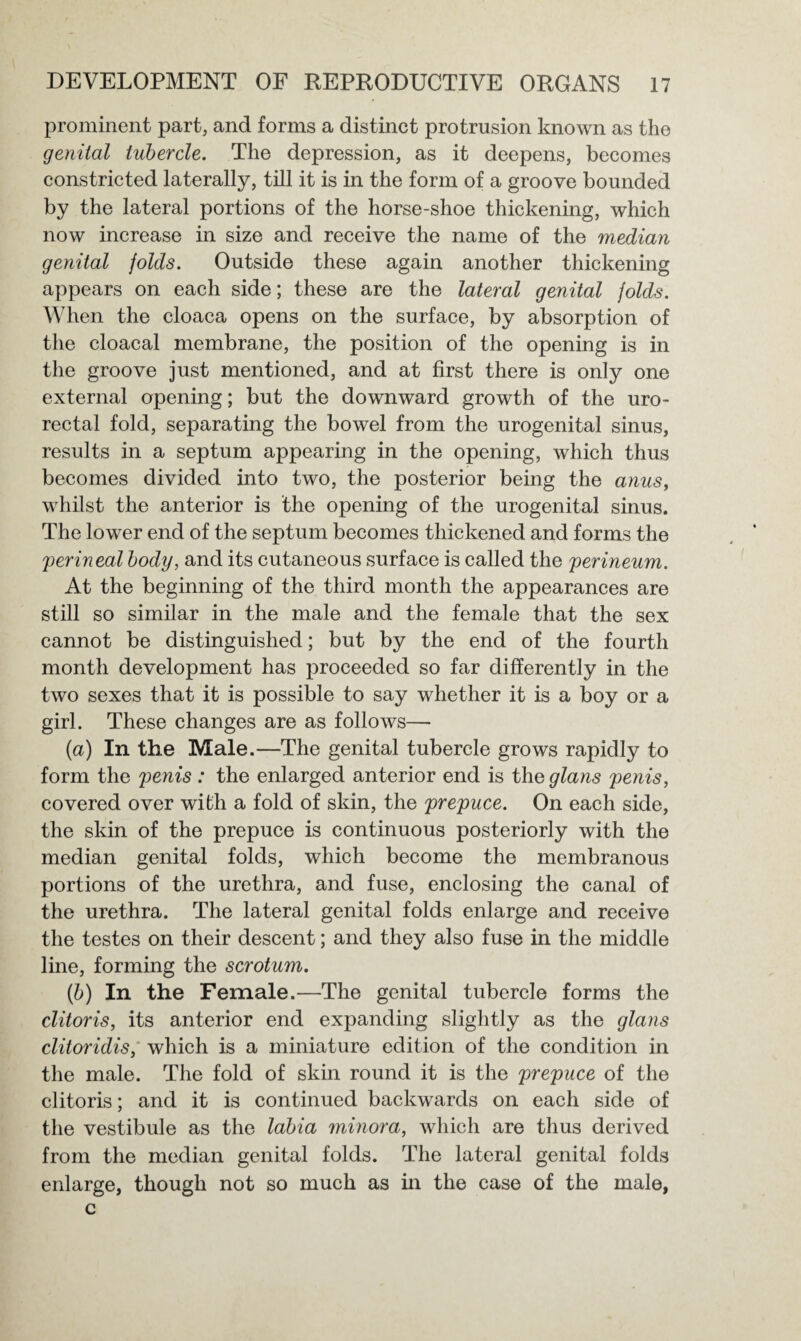 prominent part, and forms a distinct protrusion known as the genital tubercle. The depression, as it deepens, becomes constricted laterally, till it is in the form of a groove bounded by the lateral portions of the horse-shoe thickening, which now increase in size and receive the name of the median genital folds. Outside these again another thickening appears on each side; these are the lateral genital folds. When the cloaca opens on the surface, by absorption of the cloacal membrane, the position of the opening is in the groove just mentioned, and at first there is only one external opening; but the downward growth of the uro¬ rectal fold, separating the bowel from the urogenital sinus, results in a septum appearing in the opening, which thus becomes divided into two, the posterior being the anus, whilst the anterior is the opening of the urogenital sinus. The lower end of the septum becomes thickened and forms the perineal body, and its cutaneous surface is called the perineum. At the beginning of the third month the appearances are still so similar in the male and the female that the sex cannot be distinguished; but by the end of the fourth month development has proceeded so far differently in the two sexes that it is possible to say whether it is a boy or a girl. These changes are as follows— (a) In the Male.—The genital tubercle grows rapidly to form the penis : the enlarged anterior end is theglans penis, covered over with a fold of skin, the prepuce. On each side, the skin of the prepuce is continuous posteriorly with the median genital folds, which become the membranous portions of the urethra, and fuse, enclosing the canal of the urethra. The lateral genital folds enlarge and receive the testes on their descent; and they also fuse in the middle line, forming the scrotum. (b) In the Female.—The genital tubercle forms the clitoris, its anterior end expanding slightly as the glans clitoridis, which is a miniature edition of the condition in the male. The fold of skin round it is the prepuce of the clitoris; and it is continued backwards on each side of the vestibule as the labia minora, which are thus derived from the median genital folds. The lateral genital folds enlarge, though not so much as in the case of the male, c