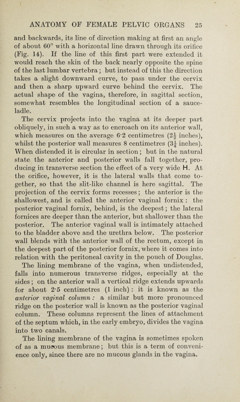 and backwards, its line of direction making at first an angle of about 60° with a horizontal line drawn through its orifice (Fig. 14). If the line of this first part were extended it would reach the skin of the back nearly opposite the spine of the last lumbar vertebra ; but instead of this the direction takes a slight downward curve, to pass under the cervix and then a sharp upward curve behind the cervix. The actual shape of the vagina, therefore, in sagittal section, somewhat resembles the longitudinal section of a sauce- ladle. The cervix projects into the vagina at its deeper part obliquely, in such a way as to encroach on its anterior wall, which measures on the average 6*2 centimetres (2| inches), whilst the posterior wall measures 8 centimetres (3J inches). When distended it is circular in section; but in the natural state the anterior and posterior walls fall together, pro¬ ducing in transverse section the effect of a very wide H. At the orifice, however, it is the lateral walls that come to¬ gether, so that the slit-like channel is here sagittal. The projection of the cervix forms recesses; the anterior is the shallowest, and is called the anterior vaginal fornix : the posterior vaginal fornix, behind, is the deepest; the lateral fornices are deeper than the anterior, but shallower than the posterior. The anterior vaginal wall is intimately attached to the bladder above and the urethra below. The posterior wall blends with the anterior wall of the rectum, except in the deepest part of the posterior fornix, where it comes into relation with the peritoneal cavity in the pouch of Douglas. The lining membrane of the vagina, when undistended, falls into numerous transverse ridges, especially at the sides ; on the anterior wall a vertical ridge extends upwards for about 2-5 centimetres (1 inch) : it is known as the anterior vaginal column: a similar but more pronounced ridge on the posterior wall is known as the posterior vaginal column. These columns represent the lines of attachment of the septum which, in the early embryo, divides the vagina into two canals. The lining membrane of the vagina is sometimes spoken of as a muoous membrane; but this is a term of conveni¬ ence only, since there are no mucous glands in the vagina.