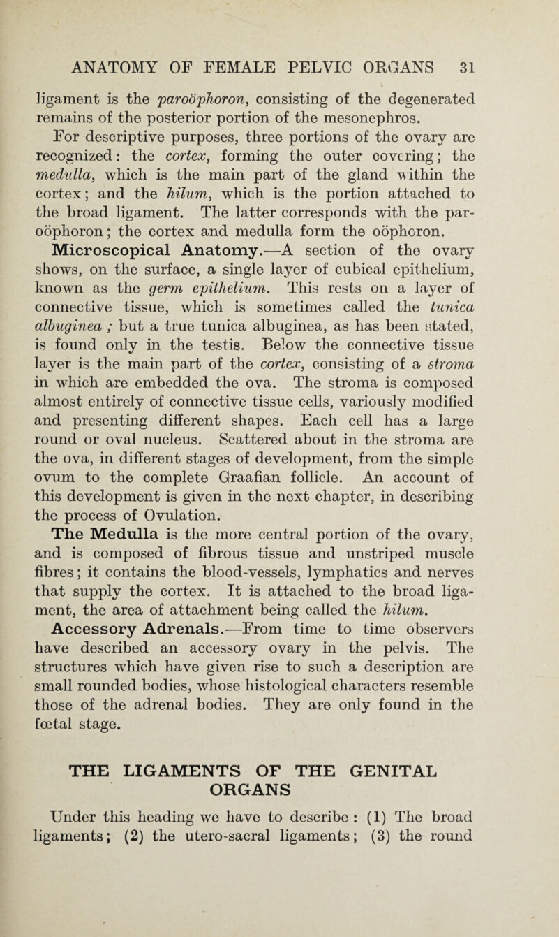 ligament is the paroophoron, consisting of the degenerated remains of the posterior portion of the mesonephros. For descriptive purposes, three portions of the ovary are recognized: the cortex, forming the outer covering; the medulla, which is the main part of the gland within the cortex; and the hilum, which is the portion attached to the broad ligament. The latter corresponds with the par¬ oophoron ; the cortex and medulla form the oophoron. Microscopical Anatomy.—A section of the ovary shows, on the surface, a single layer of cubical epithelium, known as the germ epithelium. This rests on a layer of connective tissue, which is sometimes called the tunica albuginea ; but a true tunica albuginea, as has been stated, is found only in the testis. Below the connective tissue layer is the main part of the cortex, consisting of a stro7na in which are embedded the ova. The stroma is composed almost entirely of connective tissue cells, variously modified and presenting different shapes. Each cell has a large round or oval nucleus. Scattered about in the stroma are the ova, in different stages of development, from the simple ovum to the complete Graafian follicle. An account of this development is given in the next chapter, in describing the process of Ovulation. The Medulla is the more central portion of the ovary, and is composed of fibrous tissue and unstriped muscle fibres; it contains the blood-vessels, lymphatics and nerves that supply the cortex. It is attached to the broad liga¬ ment, the area of attachment being called the hilum. Accessory Adrenals.—From time to time observers have described an accessory ovary in the pelvis. The structures which have given rise to such a description are small rounded bodies, whose histological characters resemble those of the adrenal bodies. They are only found in the foetal stage. THE LIGAMENTS OF THE GENITAL ORGANS Under this heading we have to describe : (1) The broad ligaments; (2) the utero-sacral ligaments; (3) the round