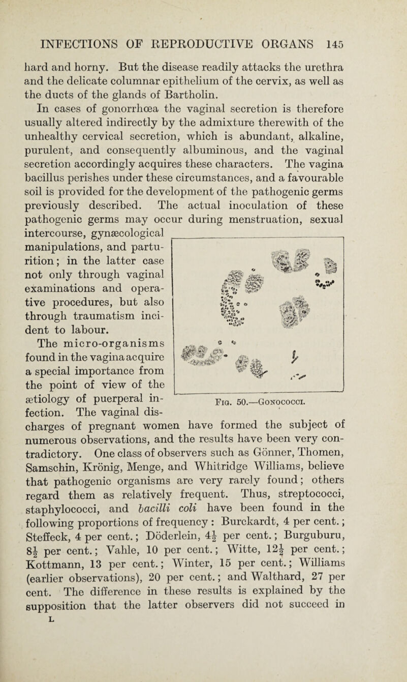 hard and horny. But the disease readily attacks the urethra and the delicate columnar epithelium of the cervix, as well as the ducts of the glands of Bartholin. In cases of gonorrhoea the vaginal secretion is therefore usually altered indirectly by the admixture therewith of the unhealthy cervical secretion, which is abundant, alkaline, purulent, and consequently albuminous, and the vaginal secretion accordingly acquires these characters. The vagina bacillus perishes under these circumstances, and a favourable soil is provided for the development of the pathogenic germs previously described. The actual inoculation of these pathogenic germs may occur during menstruation, sexual intercourse, gynaecological manipulations, and partu¬ rition; in the latter case not only through vaginal examinations and opera¬ tive procedures, but also through traumatism inci¬ dent to labour. The micro-organisms found in the vagina acquire a special importance from the point of view of the aetiology of puerperal in¬ fection. The vaginal dis¬ charges of pregnant women have formed the subject of numerous observations, and the results have been very con¬ tradictory. One class of observers such as Gonner, Thomen, Samschin, Kronig, Menge, and Whitridge Williams, believe that pathogenic organisms are very rarely found; others regard them as relatively frequent. Thus, streptococci, staphylococci, and bacilli coli have been found in the following proportions of frequency : Burckardt, 4 per cent.; Steffeck, 4 per cent.; Doderlein, 4| per cent.; Burguburu, 8J per cent.; Vahle, 10 per cent.; Witte, 12J per cent.; Kottmann, 13 per cent.; Winter, 15 per cent.; Williams (earlier observations), 20 per cent.; and Walthard, 27 per cent. The difference in these results is explained by the supposition that the latter observers did not succeed in L Fiq. 50.—Gonococci.