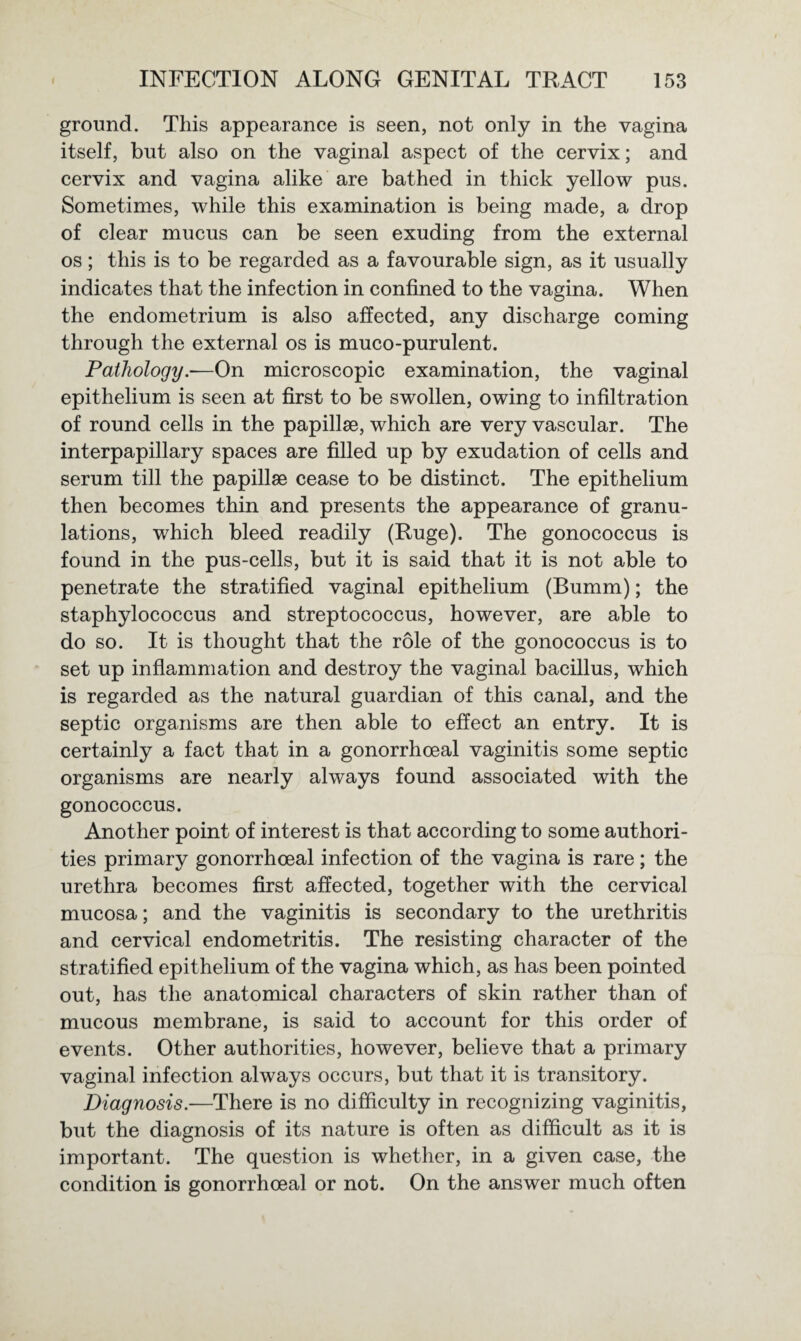 ground. This appearance is seen, not only in the vagina itself, but also on the vaginal aspect of the cervix; and cervix and vagina alike are bathed in thick yellow pus. Sometimes, while this examination is being made, a drop of clear mucus can be seen exuding from the external os; this is to be regarded as a favourable sign, as it usually indicates that the infection in confined to the vagina. When the endometrium is also affected, any discharge coming through the external os is muco-purulent. Pathology.—On microscopic examination, the vaginal epithelium is seen at first to be swollen, owing to infiltration of round cells in the papillse, which are very vascular. The interpapillary spaces are filled up by exudation of cells and serum till the papillse cease to be distinct. The epithelium then becomes thin and presents the appearance of granu¬ lations, which bleed readily (Ruge). The gonococcus is found in the pus-cells, but it is said that it is not able to penetrate the stratified vaginal epithelium (Bumm); the staphylococcus and streptococcus, however, are able to do so. It is thought that the role of the gonococcus is to set up inflammation and destroy the vaginal bacillus, which is regarded as the natural guardian of this canal, and the septic organisms are then able to effect an entry. It is certainly a fact that in a gonorrhoeal vaginitis some septic organisms are nearly always found associated with the gonococcus. Another point of interest is that according to some authori¬ ties primary gonorrhoeal infection of the vagina is rare; the urethra becomes first affected, together with the cervical mucosa; and the vaginitis is secondary to the urethritis and cervical endometritis. The resisting character of the stratified epithelium of the vagina which, as has been pointed out, has the anatomical characters of skin rather than of mucous membrane, is said to account for this order of events. Other authorities, however, believe that a primary vaginal infection always occurs, but that it is transitory. Diagnosis.—There is no difficulty in recognizing vaginitis, but the diagnosis of its nature is often as difficult as it is important. The question is whether, in a given case, the condition is gonorrhoeal or not. On the answer much often