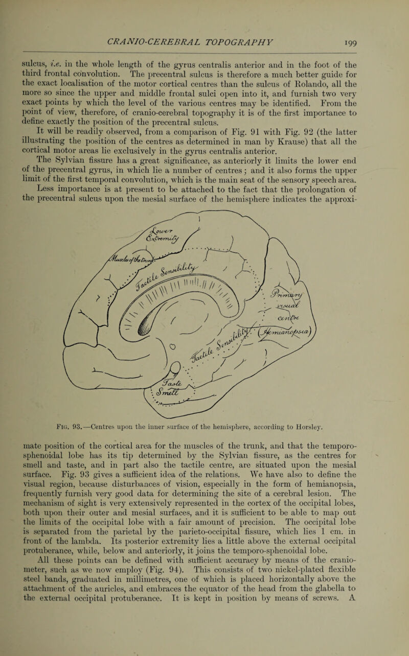 CRANIO-CEREBRAL TOPOGRAPHY sulcus, i.e. in the whole length of the gyrus centralis anterior and in the foot of the third frontal convolution. The precentral sulcus is therefore a much better guide for the exact localisation of the motor cortical centres than the sulcus of Kolando, all the more so since the upper and middle frontal sulci open into it, and furnish two very exact points by which the level of the various centres may be identified. From the point of view, therefore, of cranio-cerebral topography it is of the first importance to define exactly the position of the precentral sulcus. It will be readily observed, from a comparison of Fig. 91 with Fig. 92 (the latter illustrating the position of the centres as determined in man by Krause) that all the cortical motor areas lie exclusively in the gyrus centralis anterior. The Sylvian fissure has a great significance, as anteriorly it limits the lower end of the precentral gyrus, in which lie a number of centres; and it also forms the upper limit of the first temporal convolution, which is the main seat of the sensory speech area. Less importance is at present to be attached to the fact that the prolongation of the precentral sulcus upon the mesial surface of the hemisphere indicates the approxi¬ mate position of the cortical area for the muscles of the trunk, and that the temporo- sphenoidal lobe has its tip determined by the Sylvian fissure, as the centres for smell and taste, and in part also the tactile centre, are situated upon the mesial surface. Fig. 93 gives a sufficient idea of the relations. We have also to define the visual region, because disturbances of vision, especially in the form of hemianopsia, frequently furnish very good data for determining the site of a cerebral lesion. The mechanism of sight is very extensively represented in the cortex of the occipital lobes, both upon their outer and mesial surfaces, and it is sufficient to be able to map out the limits of the occipital lobe with a fair amount of precision. The occipital lobe is separated from the parietal by the parieto-occipital fissure, which lies 1 cm. in front of the lambda. Its posterior extremity lies a little above the external occipital protuberance, while, below and anteriorly, it joins the temporo-sphenoidal lobe. All these points can be defined with sufficient accuracy by means of the cranio- meter, such as we now employ (Fig. 94). This consists of two nickel-plated flexible steel bands, graduated in millimetres, one of which is placed horizontally above the attachment of the auricles, and embraces the equator of the head from the glabella to the external occipital protuberance. It is kept in position by means of screws. A