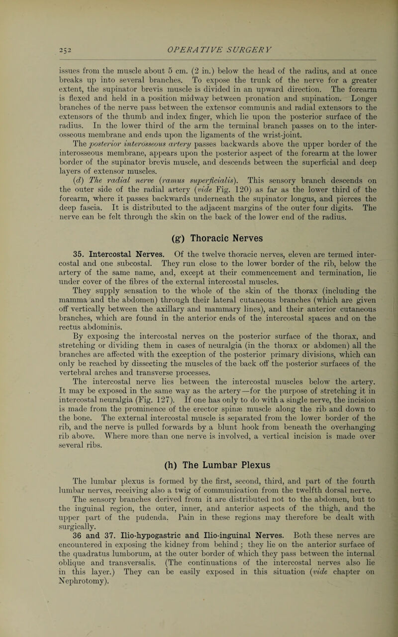 issues from the muscle about 5 cm. (2 in.) below the head of the radius, and at once breaks up into several branches. To expose the trunk of the nerve for a greater extent, the supinator brevis muscle is divided in an upward direction. The forearm is flexed and held in a position midway between pronation and supination. Longer branches of the nerve pass between the extensor communis and radial extensors to the extensors of the thumb and index finger, which lie upon the posterior surface of the radius. In the lower third of the arm the terminal branch passes on to the inter¬ osseous membrane and ends upon the ligaments of the wrist-joint. The posterior interosseous artery passes backwards above the upper border of the interosseous membrane, appears upon the posterior aspect of the forearm at the lower border of the supinator brevis muscle, and descends between the superficial and deep layers of extensor muscles. (d) The radial nerve (ramus superficialis). This sensory branch descends on the outer side of the radial artery {vide Fig. 120) as far as the lower third of the forearm, where it passes backwards underneath the supinator longus, and pierces the deep fascia. It is distributed to the adjacent margins of the outer four digits. The nerve can be felt through the skin on the back of the lower end of the radius. (g) Thoracic Nerves 35. Intercostal Nerves. Of the twelve thoracic nerves, eleven are termed inter¬ costal and one subcostal. They run close to the lower border of the rib, below the artery of the same name, and, except at their commencement and termination, lie under cover of the fibres of the external intercostal muscles. They supply sensation to the whole of the skin of the thorax (including the mamma and the abdomen) through their lateral cutaneous branches (which are given off vertically between the axillary and mammary lines), and their anterior cutaneous branches, which are found in the anterior ends of the intercostal spaces and on the rectus abdominis. By exposing the intercostal nerves on the posterior surface of the thorax, and stretching or dividing them in cases of neuralgia (in the thorax or abdomen) all the branches are affected with the exception of the posterior primary divisions, which can only be reached by dissecting the muscles of the back off the posterior surfaces of the vertebral arches and transverse processes. The intercostal nerve lies between the intercostal muscles below the artery. It may be exposed in the same way as the artery—for the purpose of stretching it in intercostal neuralgia (Fig. 127). If one has only to do with a single nerve, the incision is made from the prominence of the erector spinse muscle along the rib and down to the bone. The external intercostal muscle is separated from the lower border of the rib, and the nerve is pulled forwards by a blunt hook from beneath the overhanging rib above. Where more than one nerve is involved, a vertical incision is made over several ribs. (h) The Lumbar Plexus The lumbar plexus is formed by the first, second, third, and part of the fourth lumbar nerves, receiving also a twig of communication from the twelfth dorsal nerve. The sensory branches derived from it are distributed not to the abdomen, but to the inguinal region, the outer, inner, and anterior aspects of the thigh, and the upper part of the pudenda. Pain in these regions may therefore be dealt with surgically. 36 and 37. Ilio-hypogastric and Ilio-inguinal Nerves. Both these nerves are encountered in exposing the kidney from behind ; they lie on the anterior surface of the quadratus lumborum, at the outer border of which they pass between the internal oblique and transversalis. (The continuations of the intercostal nerves also lie in this layer.) They can be easily exposed in this situation (vide chapter on Nephrotomy).