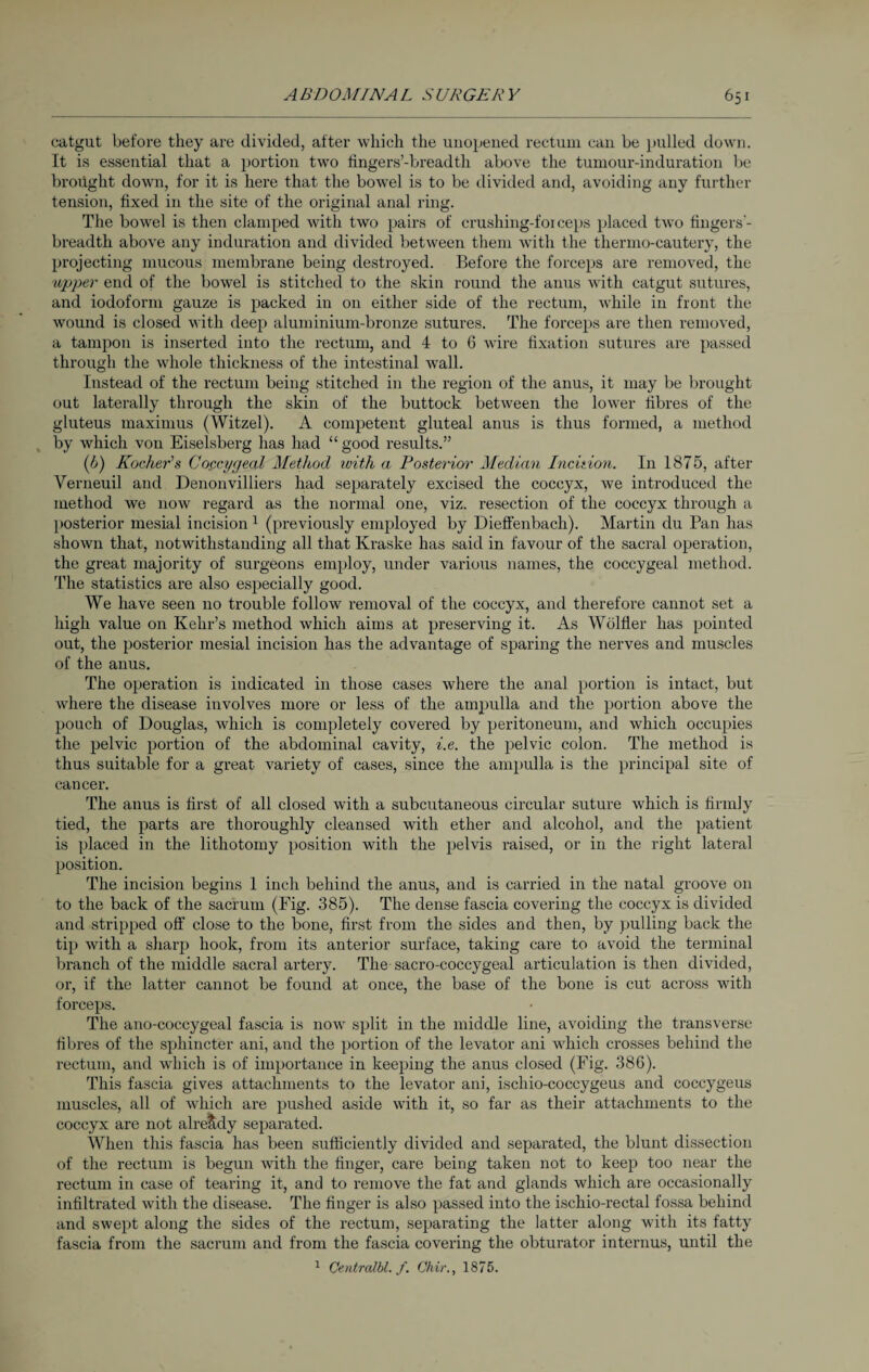 catgut before they are divided, after which the unopened rectum can be pulled down. It is essential that a portion two fingers’-breadth above the tumour-induration be brought down, for it is here that the bowel is to be divided and, avoiding any further tension, fixed in the site of the original anal ring. The bowel is then clamped with two pairs of crushing-foiceps placed two fingers’- breadth above any induration and divided between them with the tliermo-cautery, the projecting mucous membrane being destroyed. Before the forceps are removed, the upper end of the bowel is stitched to the skin round the anus with catgut sutures, and iodoform gauze is packed in on either side of the rectum, while in front the wound is closed with deep aluminium-bronze sutures. The forceps are then removed, a tampon is inserted into the rectum, and 4 to 6 wire fixation sutures are passed through the whole thickness of the intestinal Avail. Instead of the rectum being stitched in the region of the anus, it may be brought out laterally through the skin of the buttock betAveen the loAver fibres of the gluteus maximus (Witzel). A competent gluteal anus is thus formed, a method by which von Eiselsberg has had “good results.” (6) Kocher's Coccygeal Method with a Posterior Median Inciiion. In 1875, after Verneuil and Denonvilliers had separately excised the coccyx, Ave introduced the method we iioav regard as the normal one, viz. resection of the coccyx through a posterior mesial incision 1 (previously employed by Dieffenbach). Martin du Pan has shown that, notwithstanding all that Kraske has said in favour of the sacral operation, the great majority of surgeons employ, under various names, the coccygeal method. The statistics are also especially good. We have seen no trouble follow removal of the coccyx, and therefore cannot set a high value on Kehr’s method which aims at preserving it. As Wölfler has pointed out, the posterior mesial incision has the advantage of sparing the nerves and muscles of the anus. The operation is indicated in those cases where the anal portion is intact, but Avhere the disease involves more or less of the ampulla and the portion above the pouch of Douglas, which is completely covered by peritoneum, and Avhich occupies the pelvic portion of the abdominal cavity, i.e. the pelvic colon. The method is thus suitable for a great variety of cases, since the ampulla is the principal site of cancer. The anus is first of all closed Avith a subcutaneous circular suture Avhich is firmly tied, the parts are thoroughly cleansed Avith ether and alcohol, and the patient is placed in the lithotomy position with the pelvis raised, or in the right lateral position. The incision begins 1 inch behind the anus, and is carried in the natal groove on to the back of the sacrum (Fig. 385). The dense fascia covering the coccyx is divided and stripped off close to the bone, first from the sides and then, by pulling back the tip with a sharp hook, from its anterior surface, taking care to avoid the terminal branch of the middle sacral artery. The sacro-coccygeal articulation is then divided, or, if the latter cannot be found at once, the base of the bone is cut across with forceps. The ano-coccygeal fascia is now split in the middle line, avoiding the transverse fibres of the sphincter ani, and the portion of the levator ani which crosses behind the rectum, and Avhich is of importance in keeping the anus closed (Fig. 386). This fascia gives attachments to the levator ani, ischio-coccygeus and coccygeus muscles, all of Avhich are pushed aside Avith it, so far as their attachments to the coccyx are not already separated. When this fascia has been sufficiently divided and separated, the blunt dissection of the rectum is begun Avith the finger, care being taken not to keep too near the rectum in case of tearing it, and to remove the fat and glands which are occasionally infiltrated with the disease. The finger is also passed into the ischio-rectal fossa behind and swept along the sides of the rectum, separating the latter along with its fatty fascia from the sacrum and from the fascia covering the obturator internus, until the 1 Centrcdbl. f. Chir., 1875.