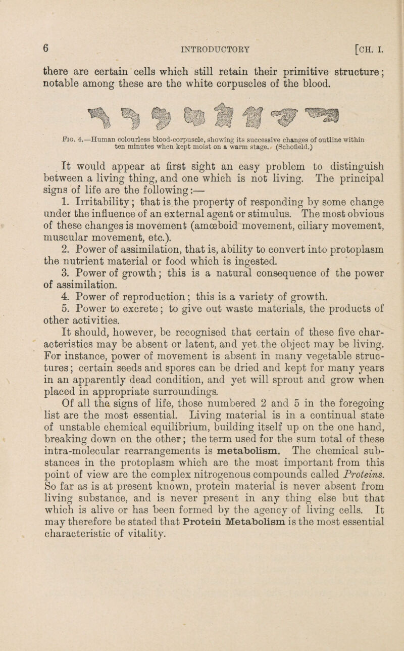 there are certain cells which still retain their primitive structure; notable among these are the white corpuscles of the blood. Fig. 4.—Human colourless blood-corpuscle, showing its successive changes of outline within ten minutes when kept moist on a warm stage. (Schofield.) It would appear at first sight an easy problem to distinguish between a living thing, and one which is not living. The principal signs of life are the following:— 1. Irritability; that is. the property of responding by some change under the influence of an external agent or stimulus. The most obvious of these changes is movement (amoeboid movement, ciliary movement, muscular movement, etc.). 2. Power of assimilation, that is, ability to convert into protoplasm the nutrient material or food which is ingested. 3. Power of growth; this is a natural consequence of the power of assimilation. 4. Power of reproduction; this is a variety of growth. 5. Power to excrete; to give out waste materials, the products of other activities. It should, however, be recognised that certain of these five char¬ acteristics may be absent or latent, and yet the object may be living. For instance, power of movement is absent in many vegetable struc¬ tures ; certain seeds and spores can be dried and kept for many years in an apparently dead condition, and yet will sprout and grow when placed in appropriate surroundings. Of all the signs of life, those numbered 2 and 5 in the foregoing list are the most essential. Living material is in a continual state of unstable chemical equilibrium, building itself up on the one hand, breaking down on the other; the term used for the sum total of these intra-molecular rearrangements is metabolism. The chemical sub¬ stances in the protoplasm which are the most important from this point of view are the complex nitrogenous compounds called Proteins. So far as is at present known, protein material is never absent from living substance, and is never present in any thing else but that which is alive or has been formed by the agency of living cells. It may therefore be stated that Protein Metabolism is the most essential characteristic of vitality.