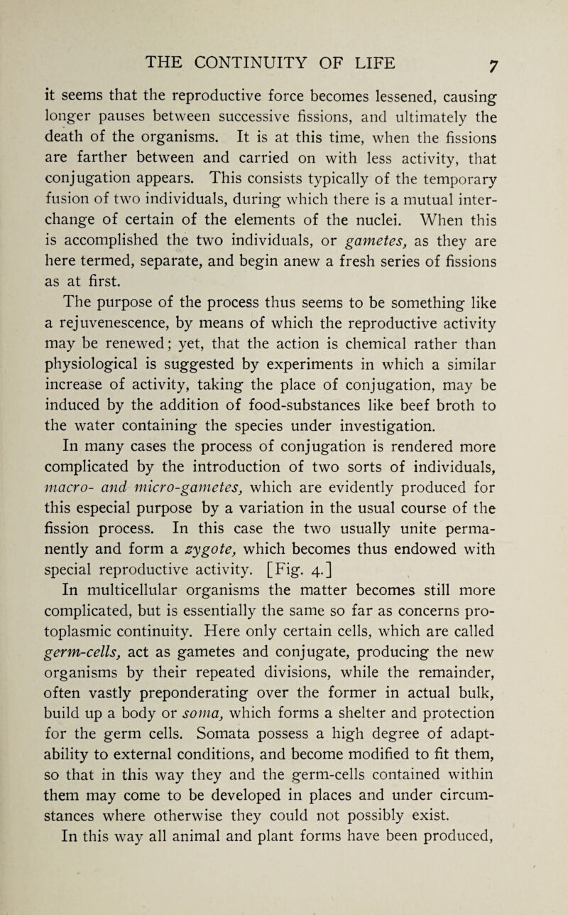 it seems that the reproductive force becomes lessened, causing longer pauses between successive fissions, and ultimately the death of the organisms. It is at this time, when the fissions are farther between and carried on with less activity, that conjugation appears. This consists typically of the temporary fusion of two individuals, during which there is a mutual inter¬ change of certain of the elements of the nuclei. When this is accomplished the two individuals, or gametes, as they are here termed, separate, and begin anew a fresh series of fissions as at first. The purpose of the process thus seems to be something like a rejuvenescence, by means of which the reproductive activity may be renewed; yet, that the action is chemical rather than physiological is suggested by experiments in which a similar increase of activity, taking the place of conjugation, may be induced by the addition of food-substances like beef broth to the water containing the species under investigation. In many cases the process of conjugation is rendered more complicated by the introduction of two sorts of individuals, macro- and micro-gametes, which are evidently produced for this especial purpose by a variation in the usual course of the fission process. In this case the two usually unite perma¬ nently and form a zygote, which becomes thus endowed with special reproductive activity. [Fig. 4.] In multicellular organisms the matter becomes still more complicated, but is essentially the same so far as concerns pro¬ toplasmic continuity. Here only certain cells, which are called germ-cells, act as gametes and conjugate, producing the new organisms by their repeated divisions, while the remainder, often vastly preponderating over the former in actual bulk, build up a body or soma, which forms a shelter and protection for the germ cells. Somata possess a high degree of adapt¬ ability to external conditions, and become modified to fit them, so that in this way they and the germ-cells contained within them may come to be developed in places and under circum¬ stances where otherwise they could not possibly exist. In this way all animal and plant forms have been produced,