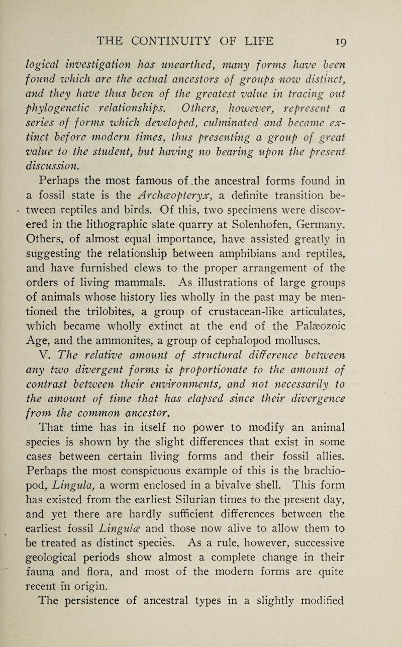 logical investigation has unearthed, many forms have been found which are the actual ancestors of groups now distinct, and they have thus been of the greatest value in tracing out phylogenetic relationships. Others, however, represent a series of forms which developed, culminated and became ex¬ tinct before modern times, thus presenting a group of great value to the student, but having no bearing upon the present discussion. Perhaps the most famous of The ancestral forms found in a fossil state is the Archccopteryx, a definite transition be- * tween reptiles and birds. Of this, two specimens were discov¬ ered in the lithographic slate quarry at Solenhofen, Germany. Others, of almost equal importance, have assisted greatly in suggesting the relationship between amphibians and reptiles, and have furnished clews to the proper arrangement of the orders of living mammals. As illustrations of large groups of animals whose history lies wholly in the past may be men¬ tioned the trilobites, a group of crustacean-like articulates, which became wholly extinct at the end of the Palaeozoic Age, and the ammonites, a group of cephalopod molluscs. V. The relative amount of structural difference between any two divergent forms is proportionate to the amount of contrast betzveen their environments, and not necessarily to the amount of time that has elapsed since their divergence from the common ancestor. That time has in itself no power to modify an animal species is shown by the slight differences that exist in some cases between certain living forms and their fossil allies. Perhaps the most conspicuous example of this is the brachio- pod, Lingula, a worm enclosed in a bivalve shell. This form has existed from the earliest Silurian times to the present day, and yet there are hardly sufficient differences between the earliest fossil Lingulce and those now alive to allow them to be treated as distinct species. As a rule, however, successive geological periods show almost a complete change in their fauna and flora, and most of the modern forms are quite recent m origin. The persistence of ancestral types in a slightly modified
