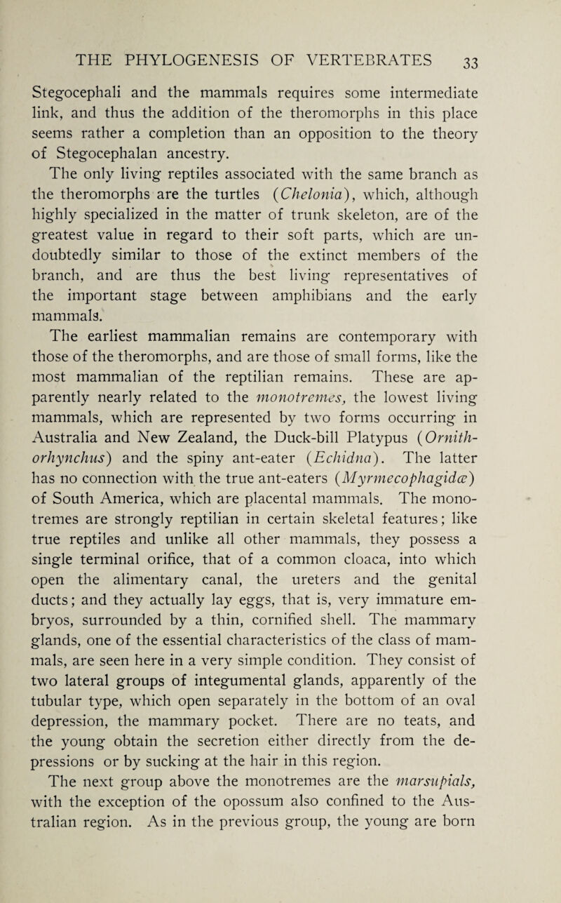 Stegocephali and the mammals requires some intermediate link, and thus the addition of the theromorphs in this place seems rather a completion than an opposition to the theory of Stegocephalan ancestry. The only living reptiles associated with the same branch as the theromorphs are the turtles (Chelonia), which, although highly specialized in the matter of trunk skeleton, are of the greatest value in regard to their soft parts, which are un¬ doubtedly similar to those of the extinct members of the branch, and are thus the best living representatives of the important stage between amphibians and the early mammals. The earliest mammalian remains are contemporary with those of the theromorphs, and are those of small forms, like the most mammalian of the reptilian remains. These are ap¬ parently nearly related to the monotremes, the lowest living mammals, which are represented by two forms occurring in Australia and New Zealand, the Duck-bill Platypus (Ornith- orhynchus) and the spiny ant-eater (Echidna). The latter has no connection with the true ant-eaters (Myrmecophagidcc) of South America, which are placental mammals. The mono- tremes are strongly reptilian in certain skeletal features; like true reptiles and unlike all other mammals, they possess a single terminal orifice, that of a common cloaca, into which open the alimentary canal, the ureters and the genital ducts; and they actually lay eggs, that is, very immature em¬ bryos, surrounded by a thin, cornified shell. The mammary glands, one of the essential characteristics of the class of mam¬ mals, are seen here in a very simple condition. They consist of two lateral groups of integumental glands, apparently of the tubular type, which open separately in the bottom of an oval depression, the mammary pocket. There are no teats, and the young obtain the secretion either directly from the de¬ pressions or by sucking at the hair in this region. The next group above the monotremes are the marsupials, with the exception of the opossum also confined to the Aus¬ tralian region. As in the previous group, the young are born