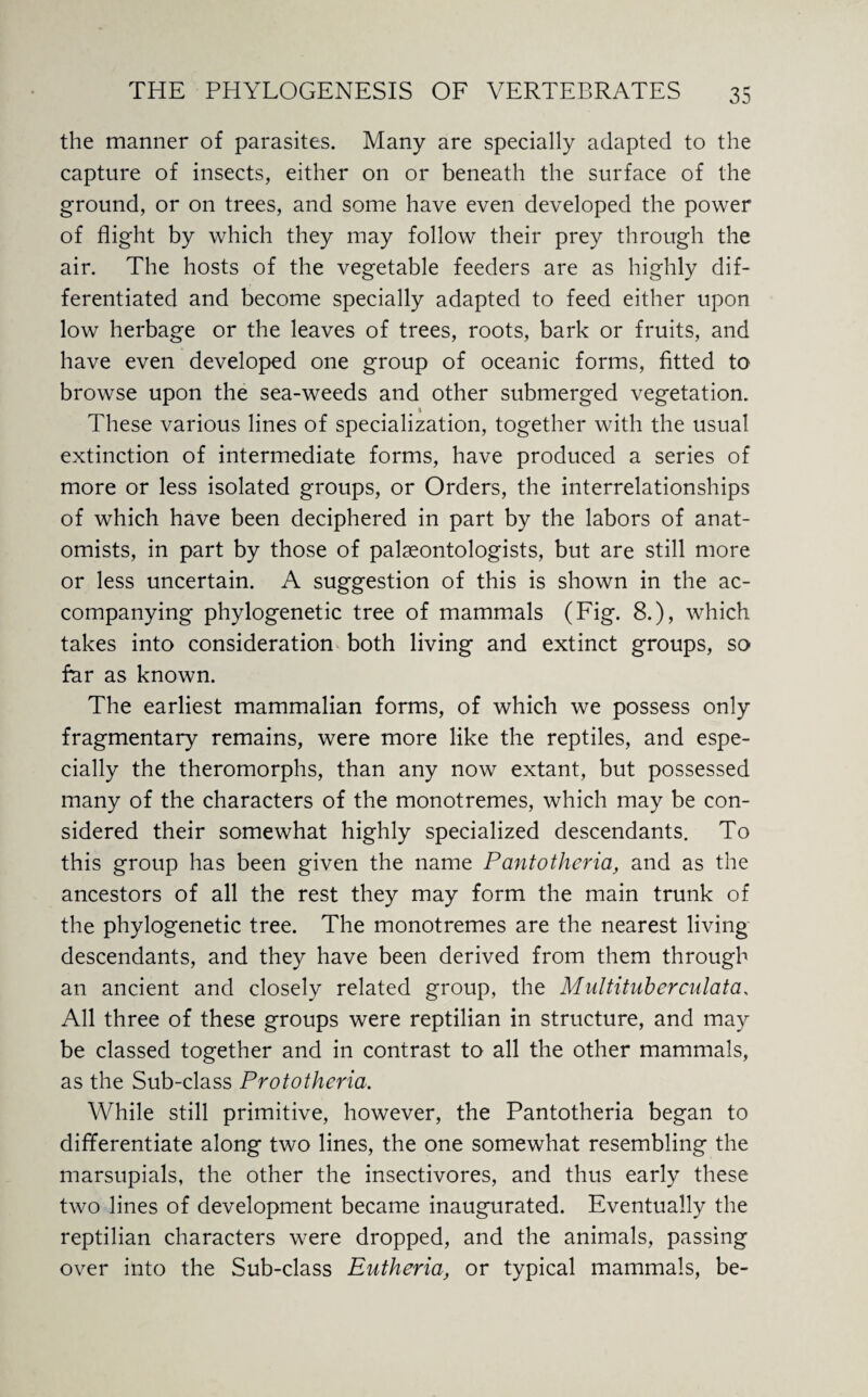 the manner of parasites. Many are specially adapted to the capture of insects, either on or beneath the surface of the ground, or on trees, and some have even developed the power of flight by which they may follow their prey through the air. The hosts of the vegetable feeders are as highly dif¬ ferentiated and become specially adapted to feed either upon low herbage or the leaves of trees, roots, bark or fruits, and have even developed one group of oceanic forms, fitted to browse upon the sea-weeds and other submerged vegetation. A These various lines of specialization, together with the usual extinction of intermediate forms, have produced a series of more or less isolated groups, or Orders, the interrelationships of which have been deciphered in part by the labors of anat¬ omists, in part by those of palaeontologists, but are still more or less uncertain. A suggestion of this is shown in the ac¬ companying phylogenetic tree of mammals (Fig. 8.), which takes into consideration both living and extinct groups, so far as known. The earliest mammalian forms, of which we possess only fragmentary remains, were more like the reptiles, and espe¬ cially the theromorphs, than any now extant, but possessed many of the characters of the monotremes, which may be con¬ sidered their somewhat highly specialized descendants. To this group has been given the name Pantotheria, and as the ancestors of all the rest they may form the main trunk of the phylogenetic tree. The monotremes are the nearest living descendants, and they have been derived from them through an ancient and closely related group, the Multituberculata, All three of these groups were reptilian in structure, and may be classed together and in contrast to all the other mammals, as the Sub-class Prototheria. While still primitive, however, the Pantotheria began to differentiate along two lines, the one somewhat resembling the marsupials, the other the insectivores, and thus early these two lines of development became inaugurated. Eventually the reptilian characters were dropped, and the animals, passing over into the Sub-class Eutheria, or typical mammals, be-