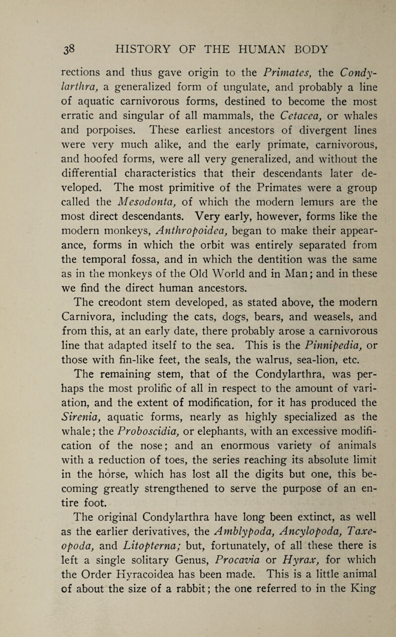 rections and thus gave origin to the Primates, the Condy- larthra, a generalized form of ungulate, and probably a line of aquatic carnivorous forms, destined to become the most erratic and singular of all mammals, the Cetacea, or whales and porpoises. These earliest ancestors of divergent lines were very much alike, and the early primate, carnivorous, and hoofed forms, were all very generalized, and without the differential characteristics that their descendants later de¬ veloped. The most primitive of the Primates were a group called the Mesodonta, of which the modern lemurs are the most direct descendants. Very early, however, forms like the modern monkeys, Anthropoidea, began to make their appear¬ ance, forms in which the orbit was entirely separated from the temporal fossa, and in which the dentition was the same as in the monkeys of the Old World and in Man; and in these we find the direct human ancestors. The creodont stem developed, as stated above, the modern Carnivora, including the cats, dogs, bears, and weasels, and from this, at an early date, there probably arose a carnivorous line that adapted itself to the sea. This is the Pinnipedia, or those with fin-like feet, the seals, the walrus, sea-lion, etc. The remaining stem, that of the Condylarthra, was per¬ haps the most prolific of all in respect to the amount of vari¬ ation, and the extent of modification, for it has produced the Sirenia, aquatic forms, nearly as highly specialized as the whale; the Proboscidia, or elephants, with an excessive modifi¬ cation of the nose; and an enormous variety of animals with a reduction of toes, the series reaching its absolute limit in the horse, which has lost all the digits but one, this be¬ coming greatly strengthened to serve the purpose of an en¬ tire foot. The original Condylarthra have long been extinct, as well as the earlier derivatives, the Amblypoda, Ancylopoda, Taxe- opoda, and Litopterna; but, fortunately, of all these there is left a single solitary Genus, Procavia or Hyrax, for which the Order Hyracoidea has been made. This is a little animal of about the size of a rabbit; the one referred to in the King