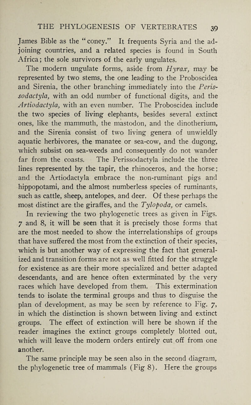 James Bible as the “coney.” It frequents Syria and the ad¬ joining countries, and a related species is found in South Africa; the sole survivors of the early ungulates. The modern ungulate forms, aside from Hyrax, may be represented by two stems, the one leading to the Proboscidea and Sirenia, the other branching immediately into the Peris- sodactyla, with an odd number of functional digits, and the Artiodactyla, with an even number. The Proboscidea include the two species of living elephants, besides several extinct ones, like the mammuth, the mastodon, and the dinotherium, and the Sirenia consist of two living genera of unwieldly aquatic herbivores, the manatee or sea-cow, and the dugong, which subsist on sea-weeds and consequently do not wander far from the coasts. The Perissodactyla include the three lines represented by the tapir, the rhinoceros, and the horse; and the Artiodactyla embrace the non-ruminant pigs and hippopotami, and the almost numberless species of ruminants, such as cattle, sheep, antelopes, and deer. Of these perhaps the most distinct are the giraffes, and the Tylopoda, or camels. In reviewing the two phylogenetic trees as given in Figs. 7 and 8, it will be seen that it is precisely those forms that are the most needed to show the interrelationships of groups that have suffered the most from the extinction of their species, which is but another way of expressing the fact that general¬ ized and transition forms are not as well fitted for the struggle for existence as are their more specialized and better adapted descendants, and are hence often exterminated by the very races which have developed from them. This extermination tends to isolate the terminal groups and thus to disguise the plan of development, as may be seen by reference to Fig. 7, in which the distinction is shown between living and extinct groups. The effect of extinction will here be shown if the reader imagines the extinct groups completely blotted out, which will leave the modern orders entirely cut off from one another. The same principle may be seen also in the second diagram, the phylogenetic tree of mammals (Fig 8). Here the groups